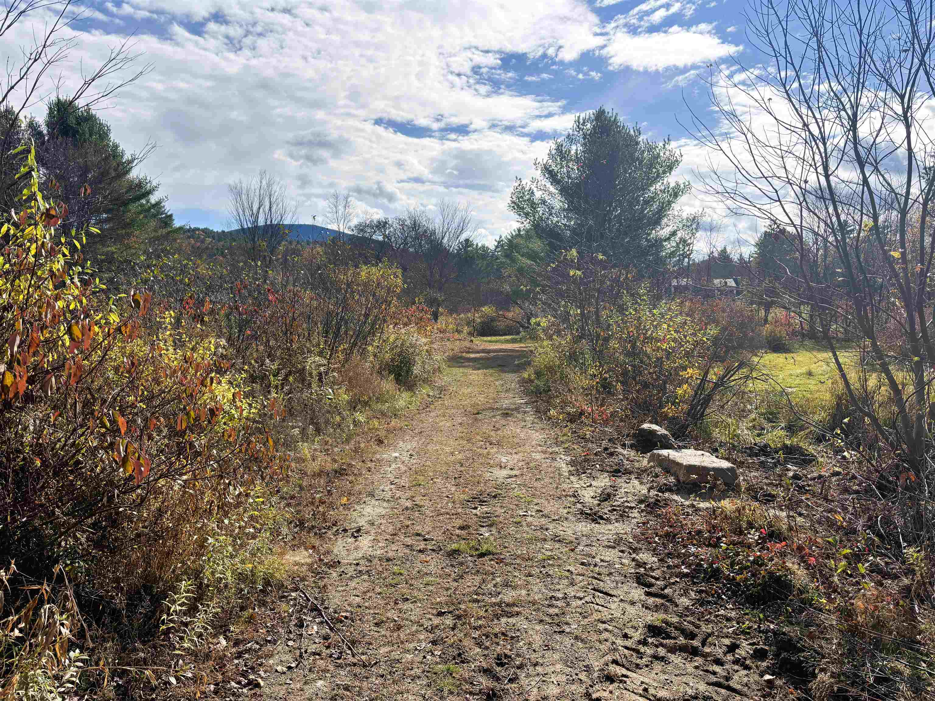 MLS #5067271 image #21