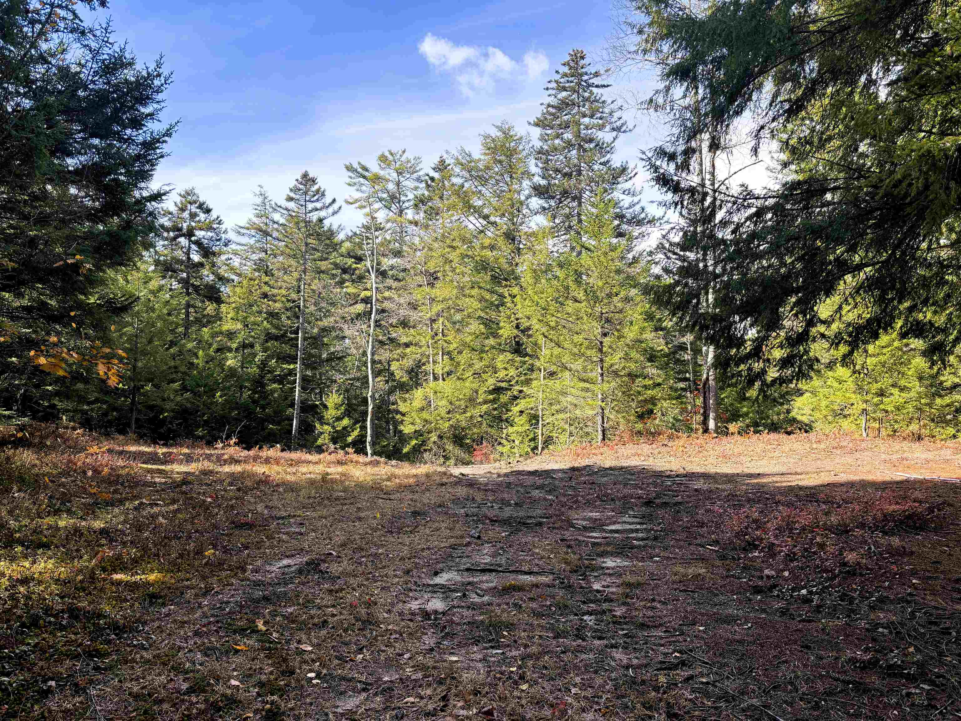 MLS #5067271 image #26