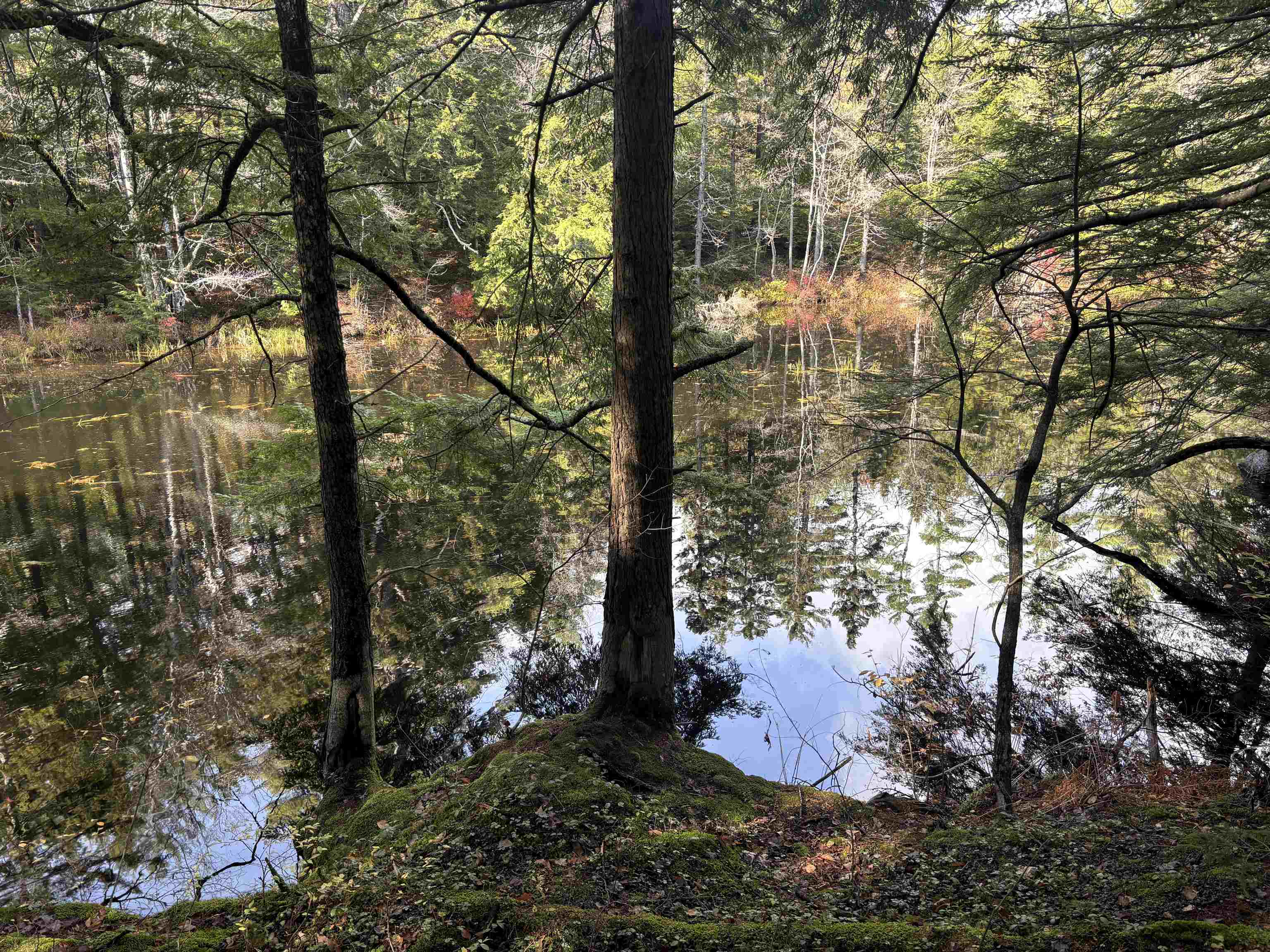 MLS #5067271 image #28