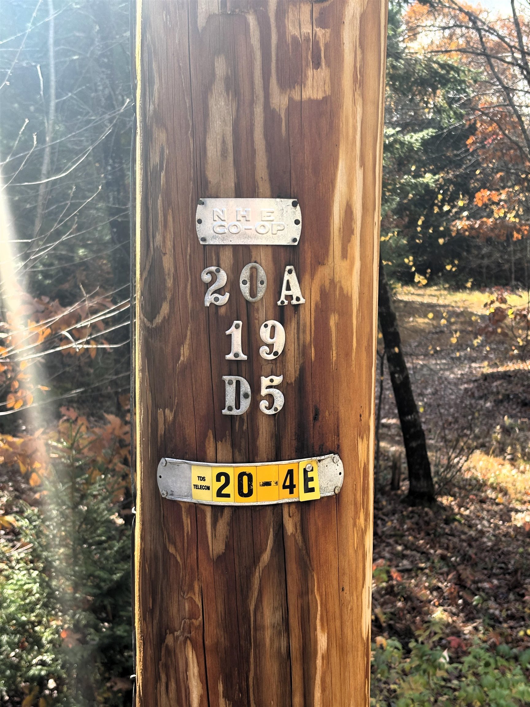 MLS #5067271 image #29