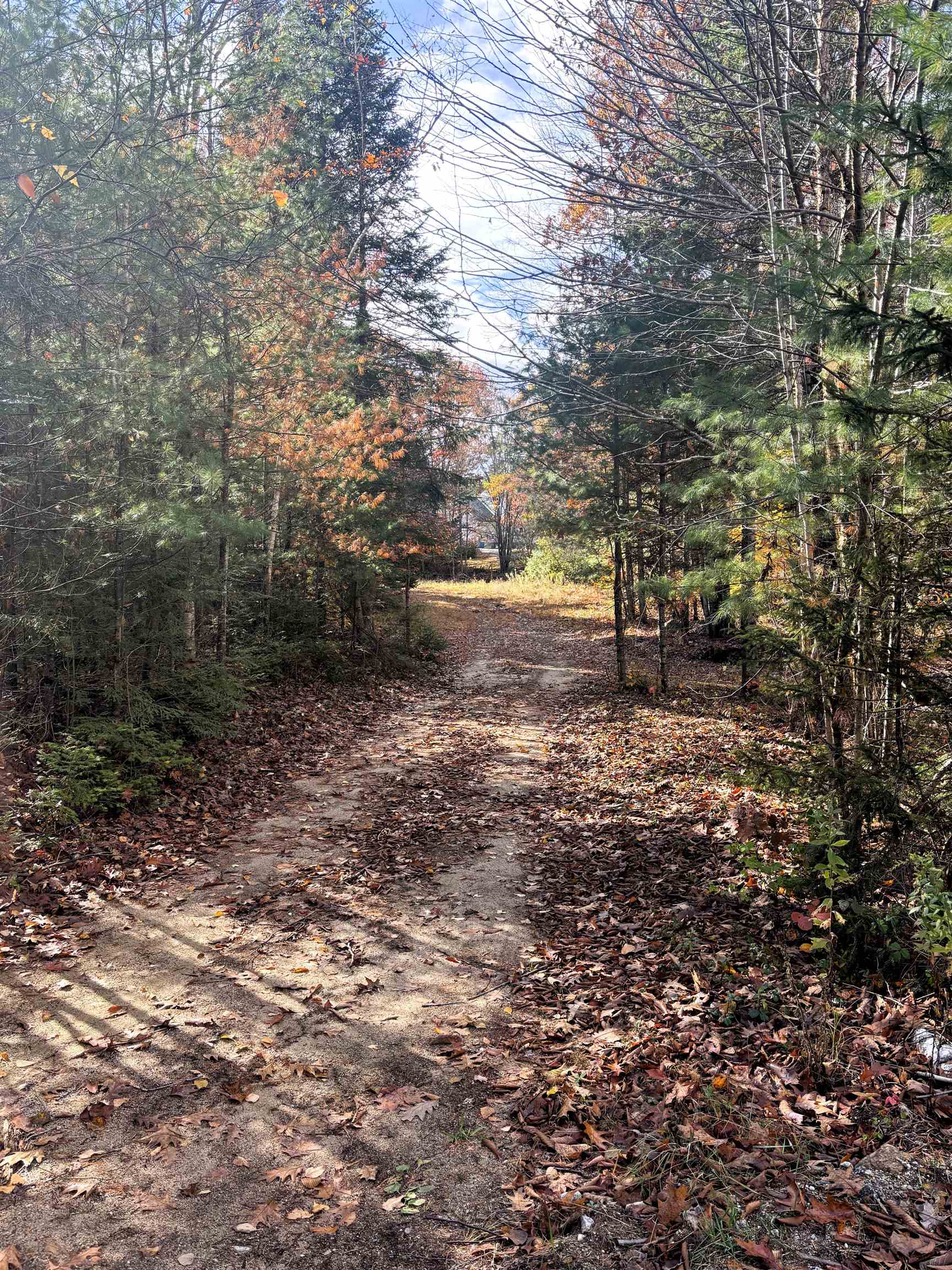 MLS #5067271 image #6