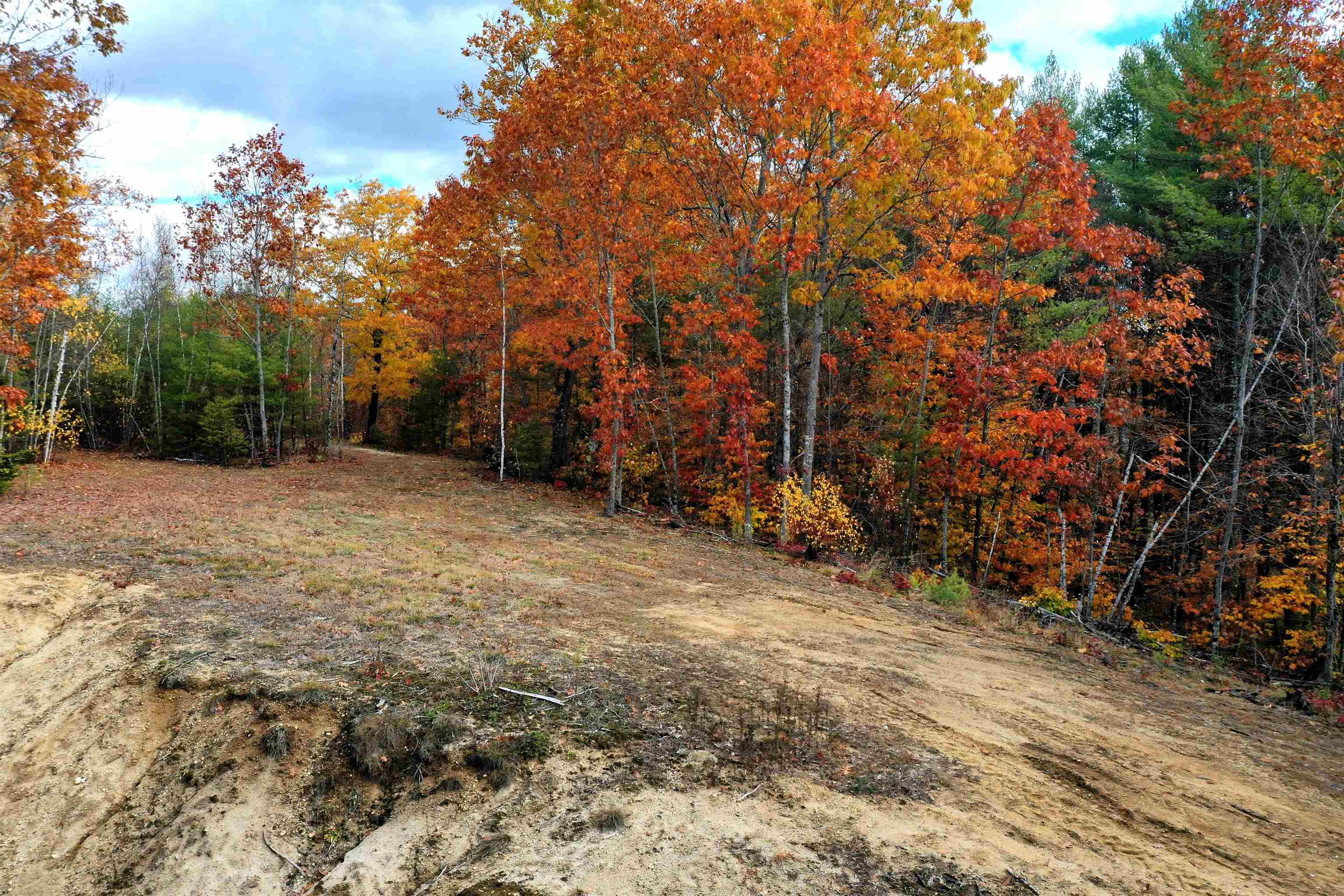 MLS #5067271 image #7