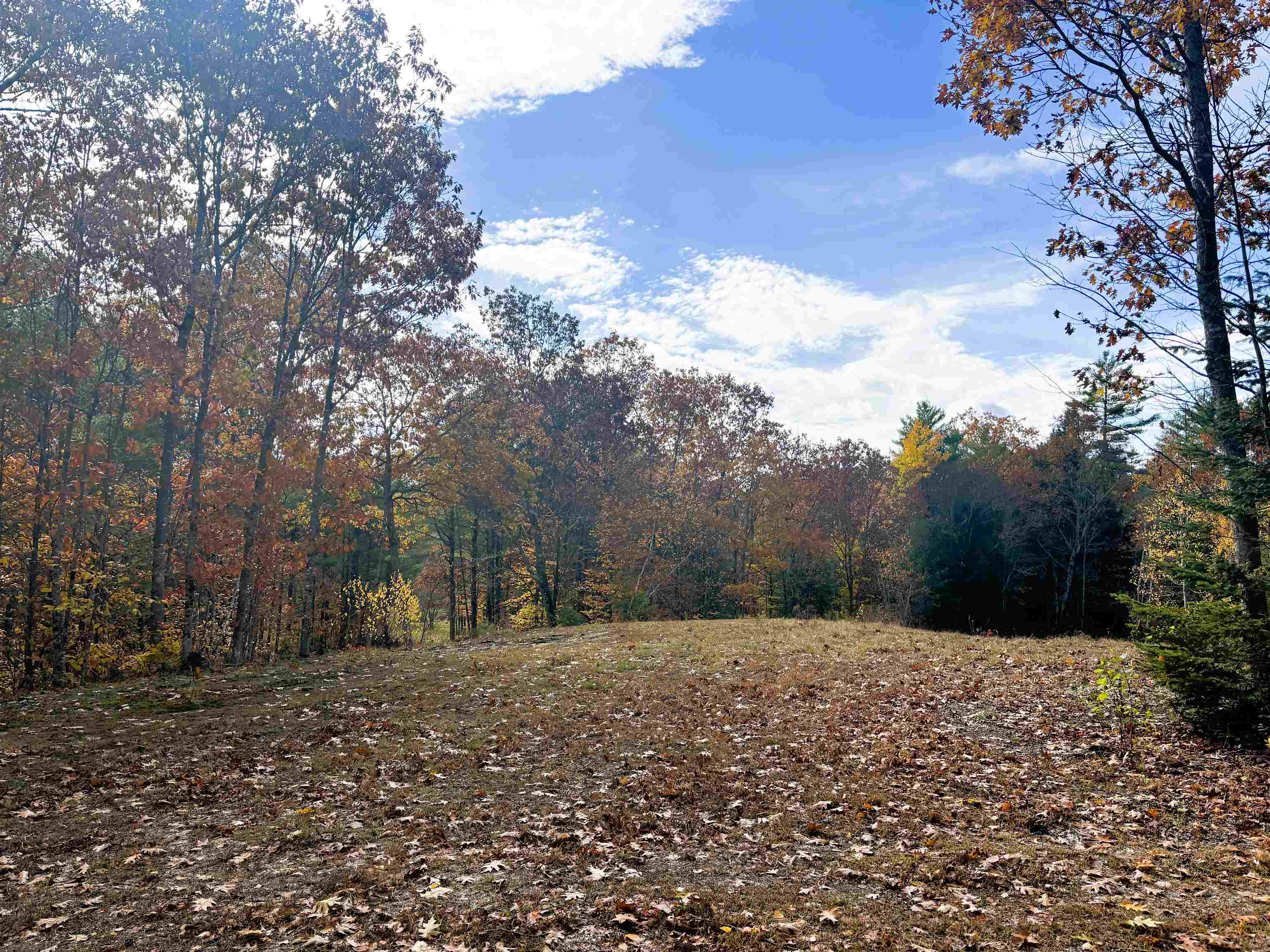 MLS #5067271 image #9