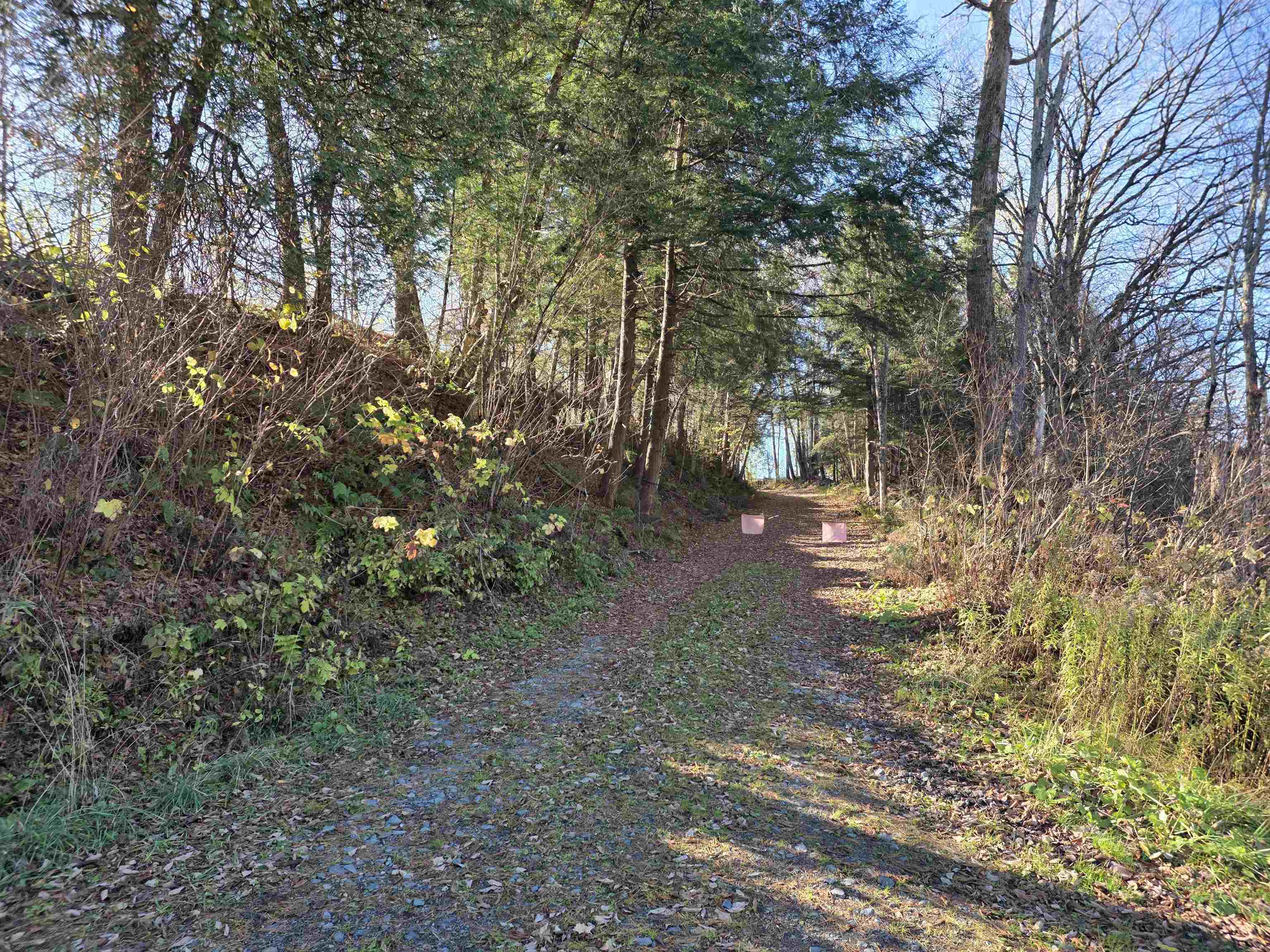 Homes for sale in St. Johnsbury, VT | 000 Us Route 2, St. Johnsbury, VT 05819 | MLS# 5067298