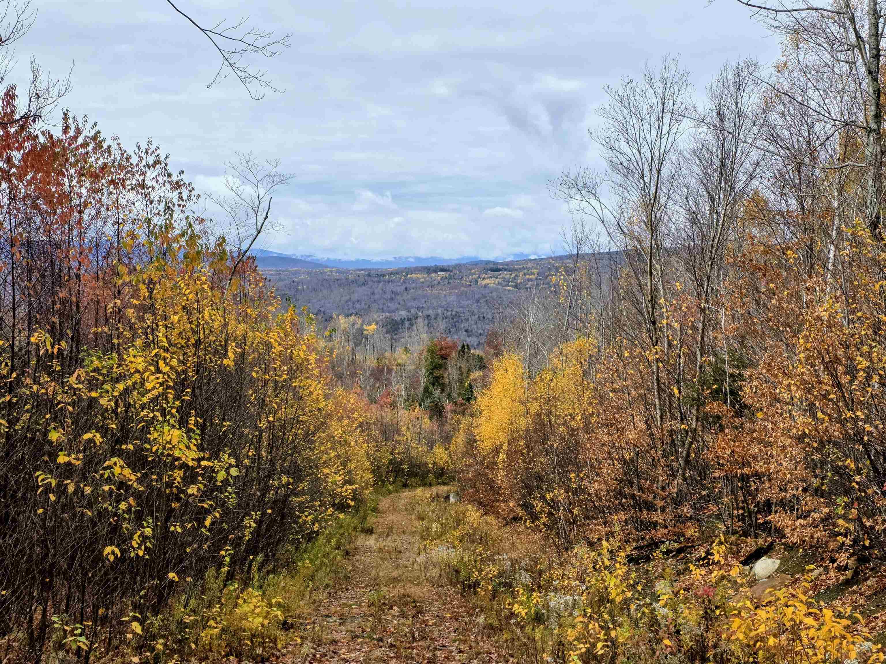 Homes for sale in Columbia, NH | Map 405 Lot 224, Columbia, NH 03576 | MLS# 5067322