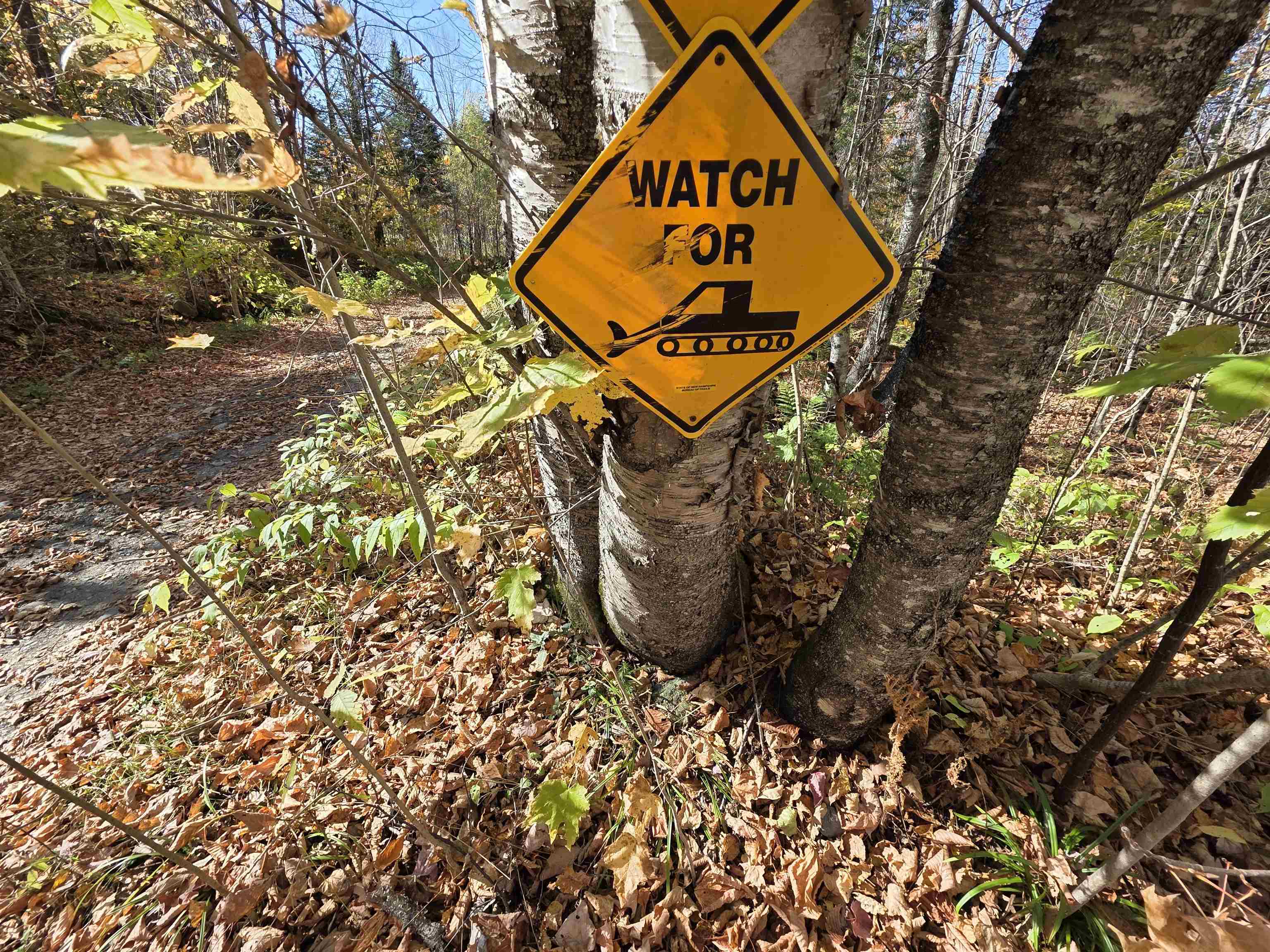 Homes for sale in Columbia, NH | Map 405 Lot 224, Columbia, NH 03576 | MLS# 5067322