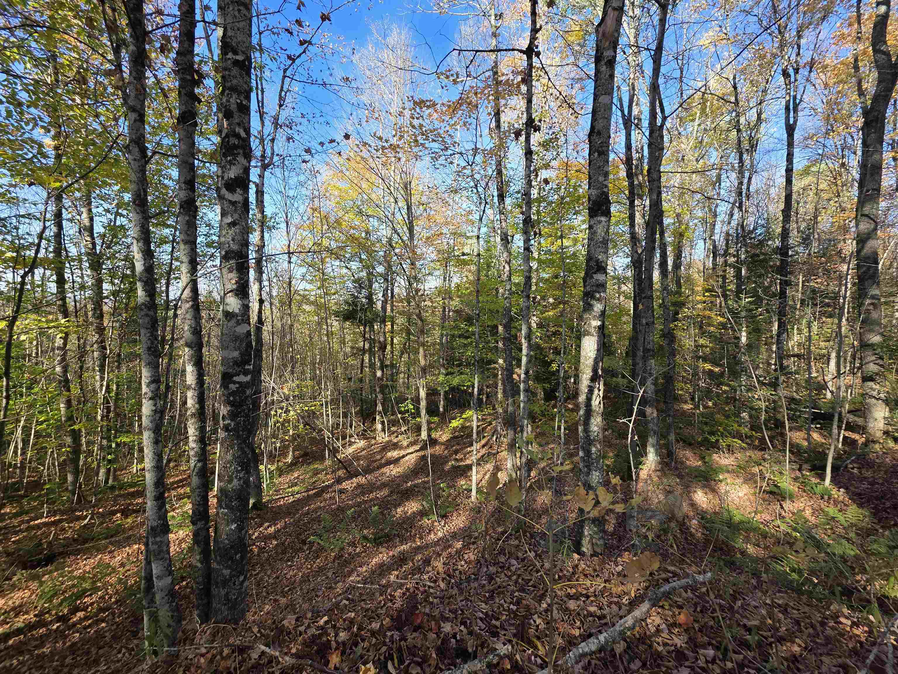 Homes for sale in Columbia, NH | Map 405 Lot 12, Columbia, NH 03576 | MLS# 5067323