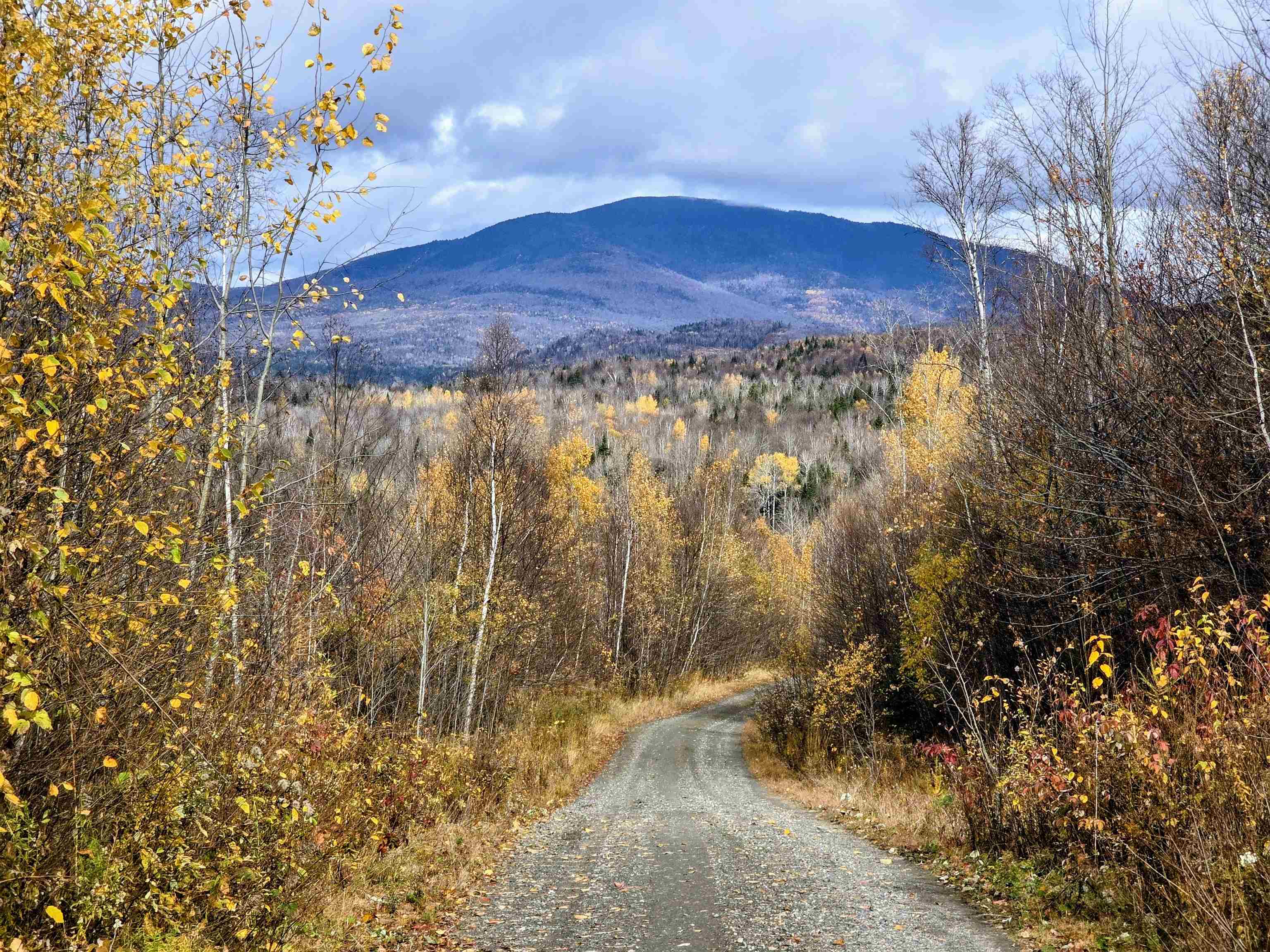 Homes for sale in Columbia, NH | Map 405 Lot 13, Columbia, NH 03576 | MLS# 5067324