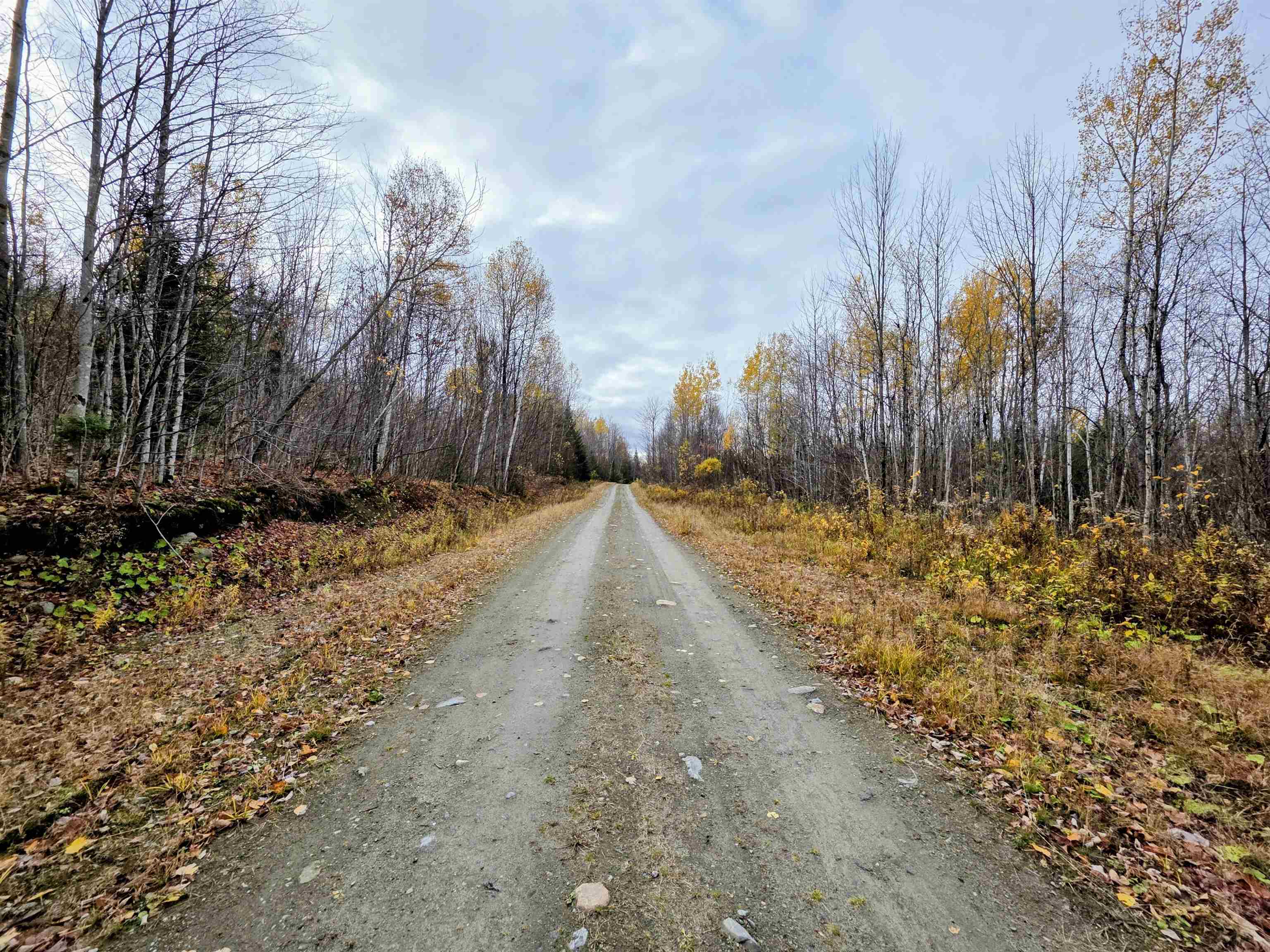 Homes for sale in Columbia, NH | Map 405 Lot 13, Columbia, NH 03576 | MLS# 5067324