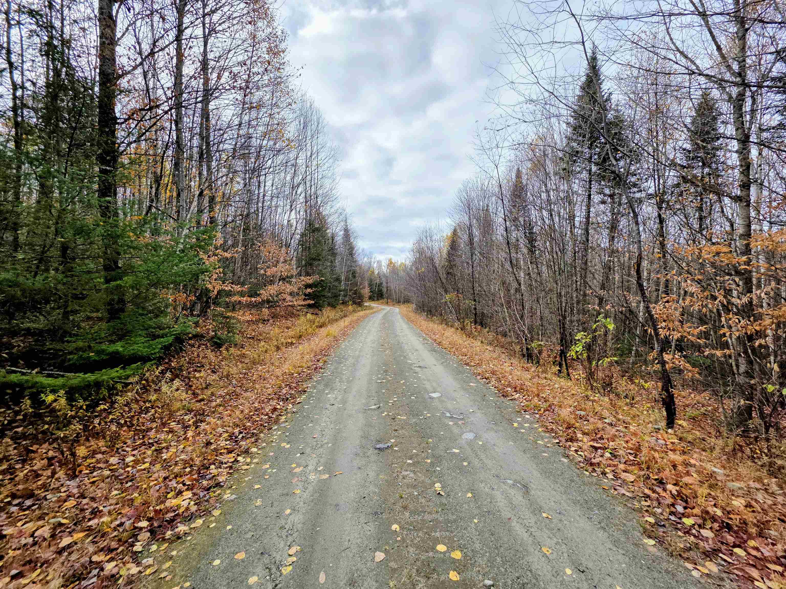 Homes for sale in Columbia, NH | Map 405 Lot 13, Columbia, NH 03576 | MLS# 5067324