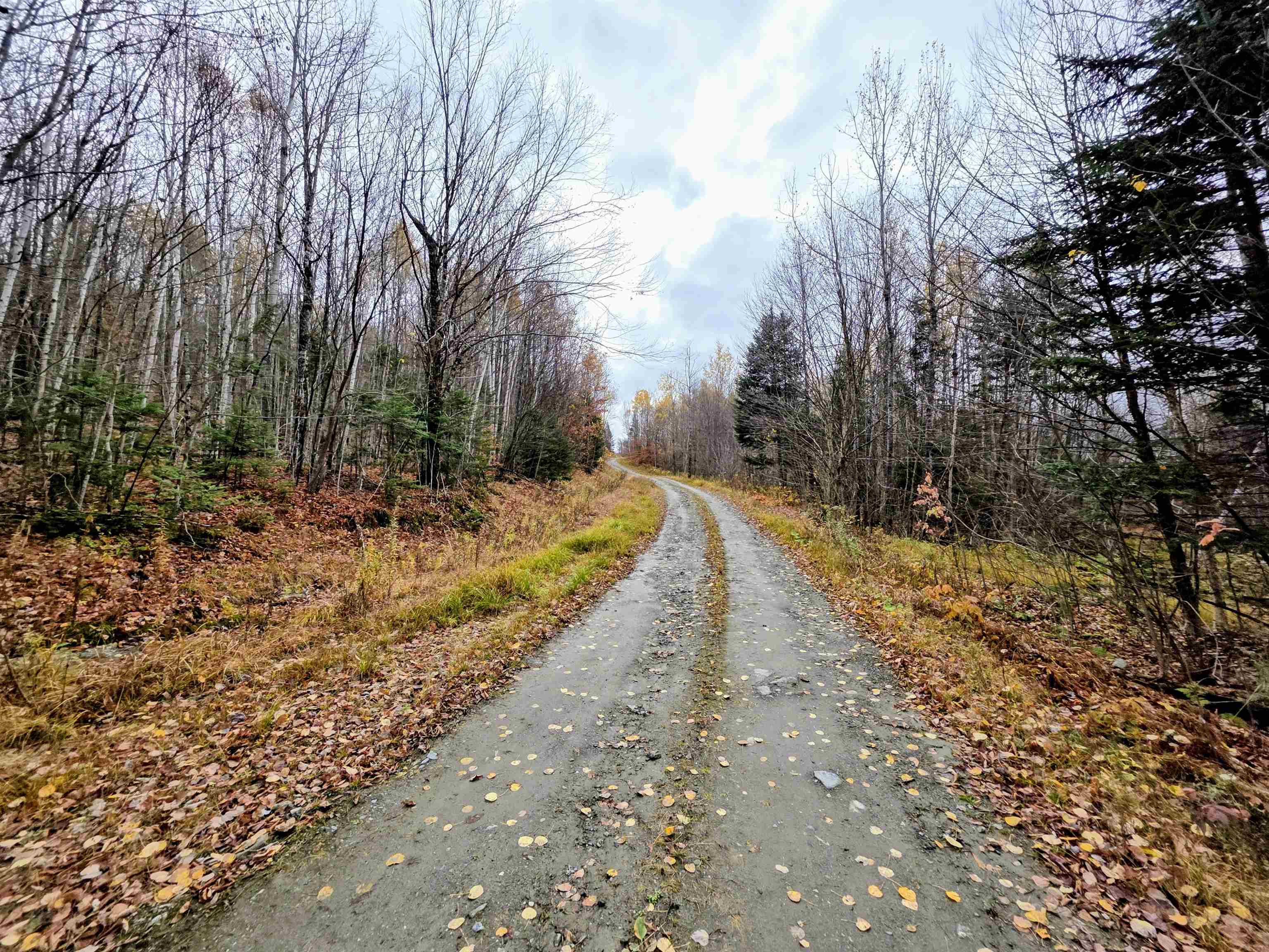 Homes for sale in Columbia, NH | Map 405 Lot 13, Columbia, NH 03576 | MLS# 5067324