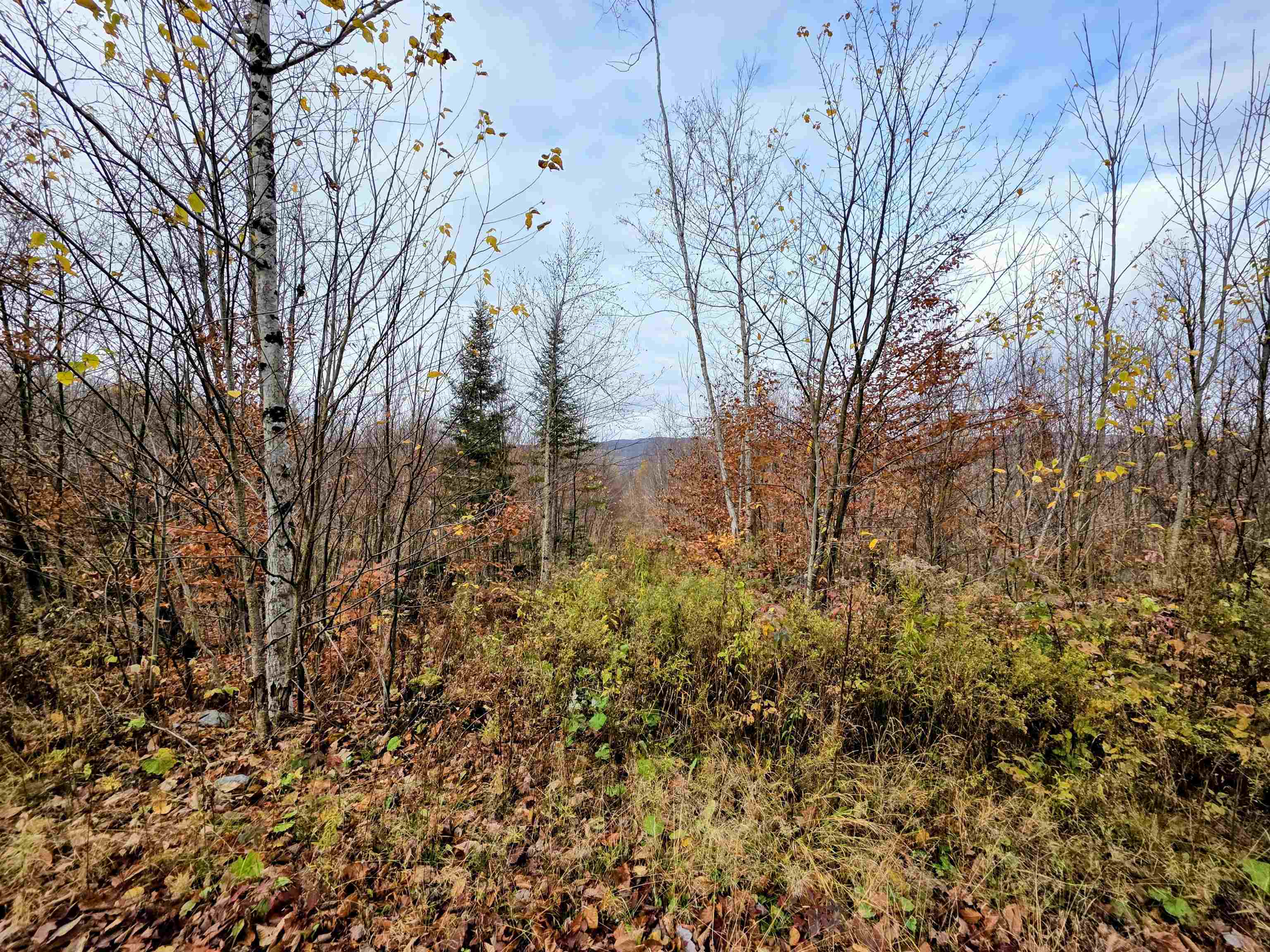 Homes for sale in Columbia, NH | Map 405 Lot 13, Columbia, NH 03576 | MLS# 5067324