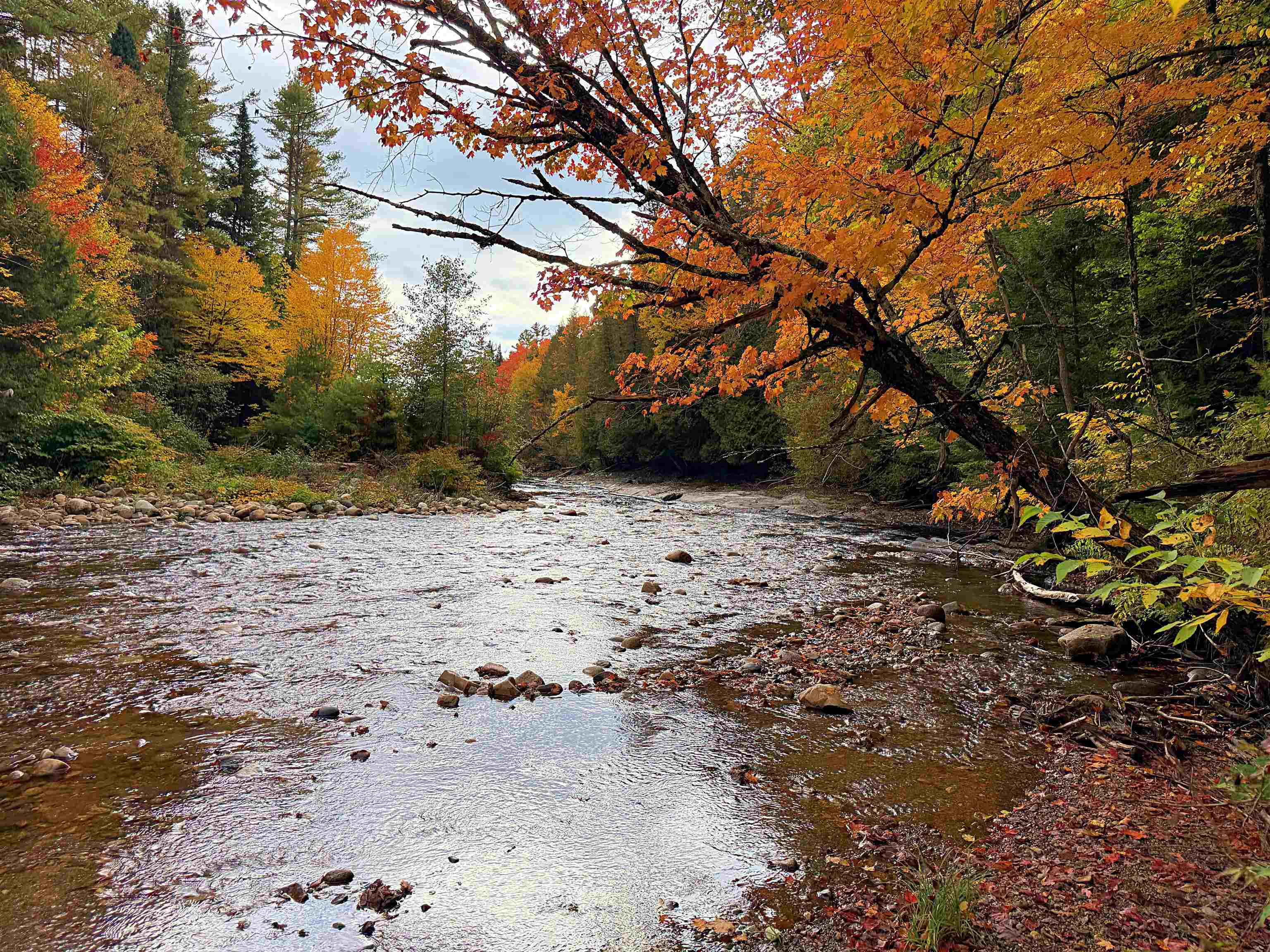 Homes for sale in Lyndon, VT | 0 Darling Hill Rd, Lyndon, VT 05849 | MLS# 5067325