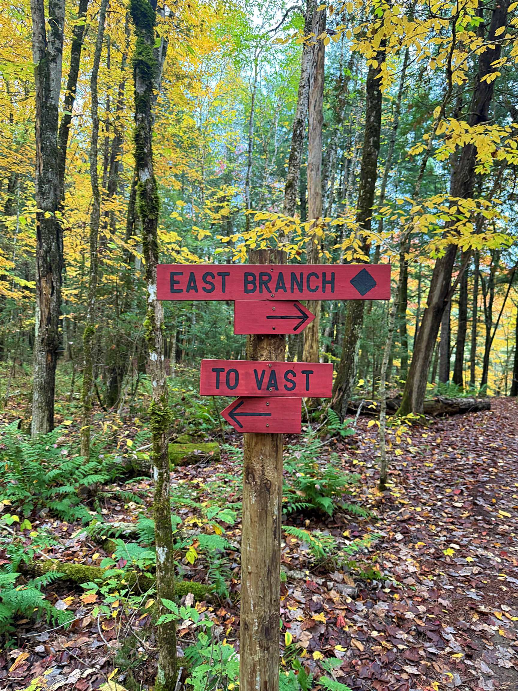 Homes for sale in Lyndon, VT | 0 Darling Hill Rd, Lyndon, VT 05849 | MLS# 5067325