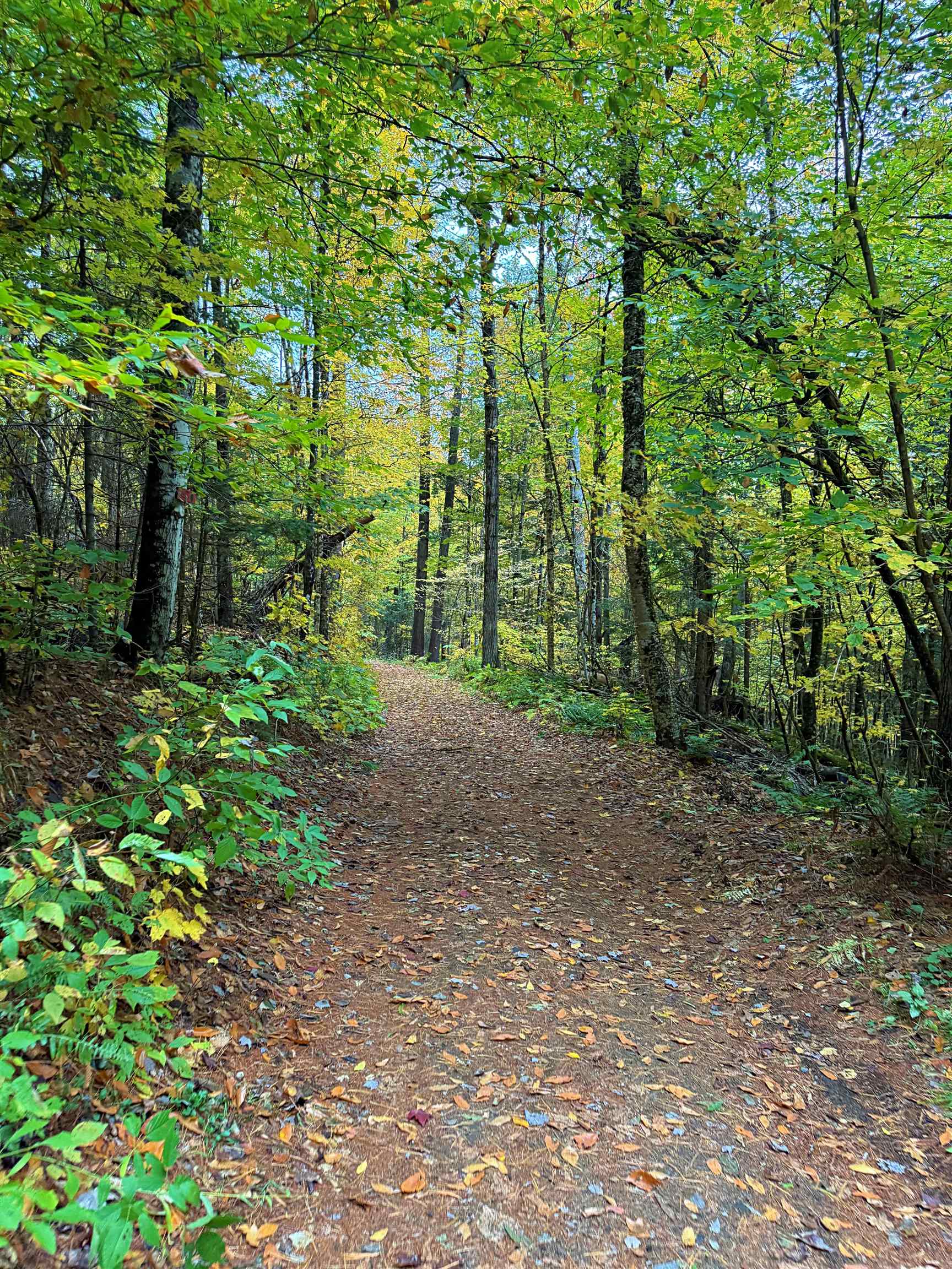 Homes for sale in Lyndon, VT | 0 Darling Hill Rd, Lyndon, VT 05849 | MLS# 5067325