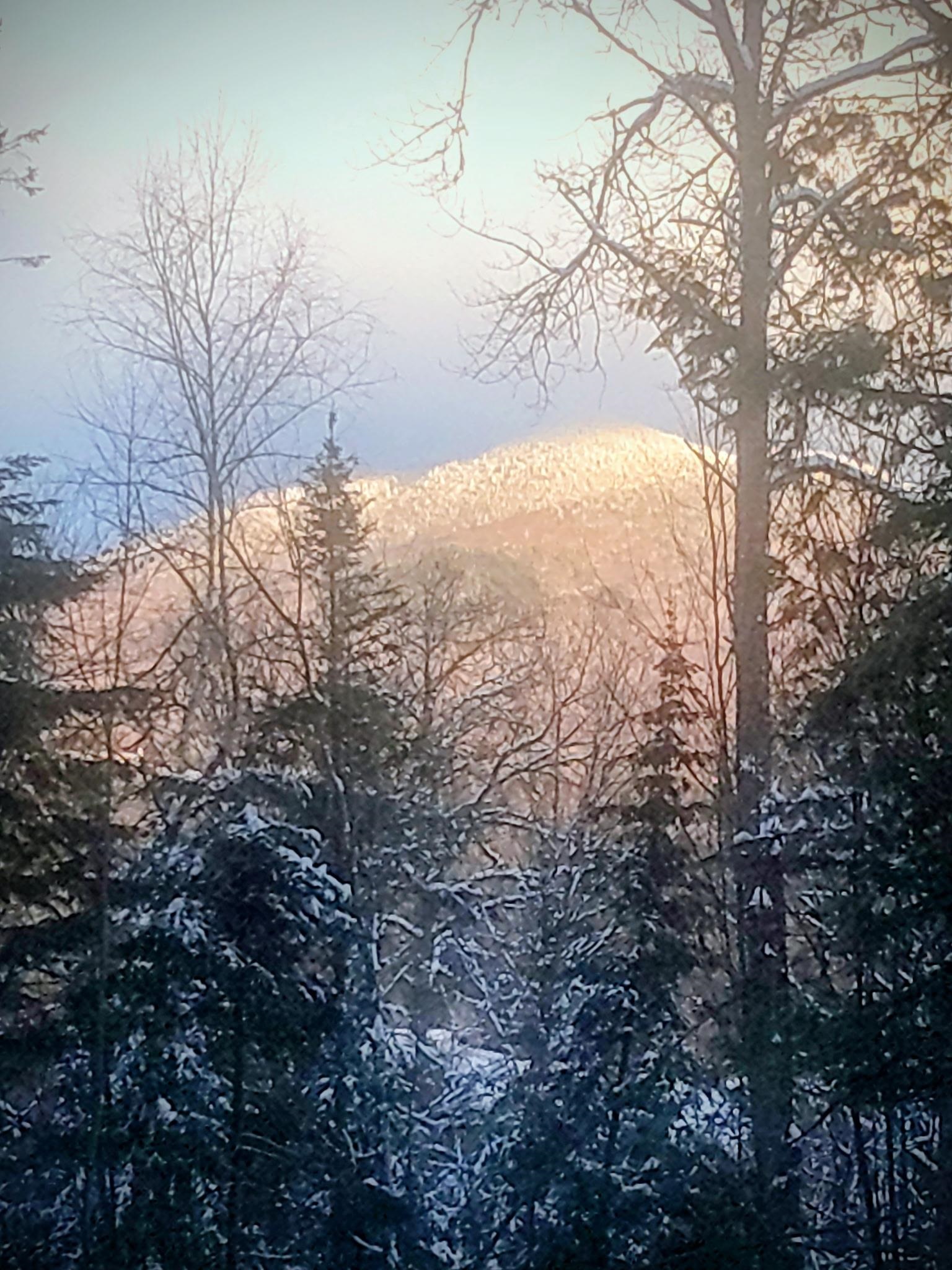 Homes for sale in Lyndon, VT | 0 Darling Hill Rd, Lyndon, VT 05849 | MLS# 5067325