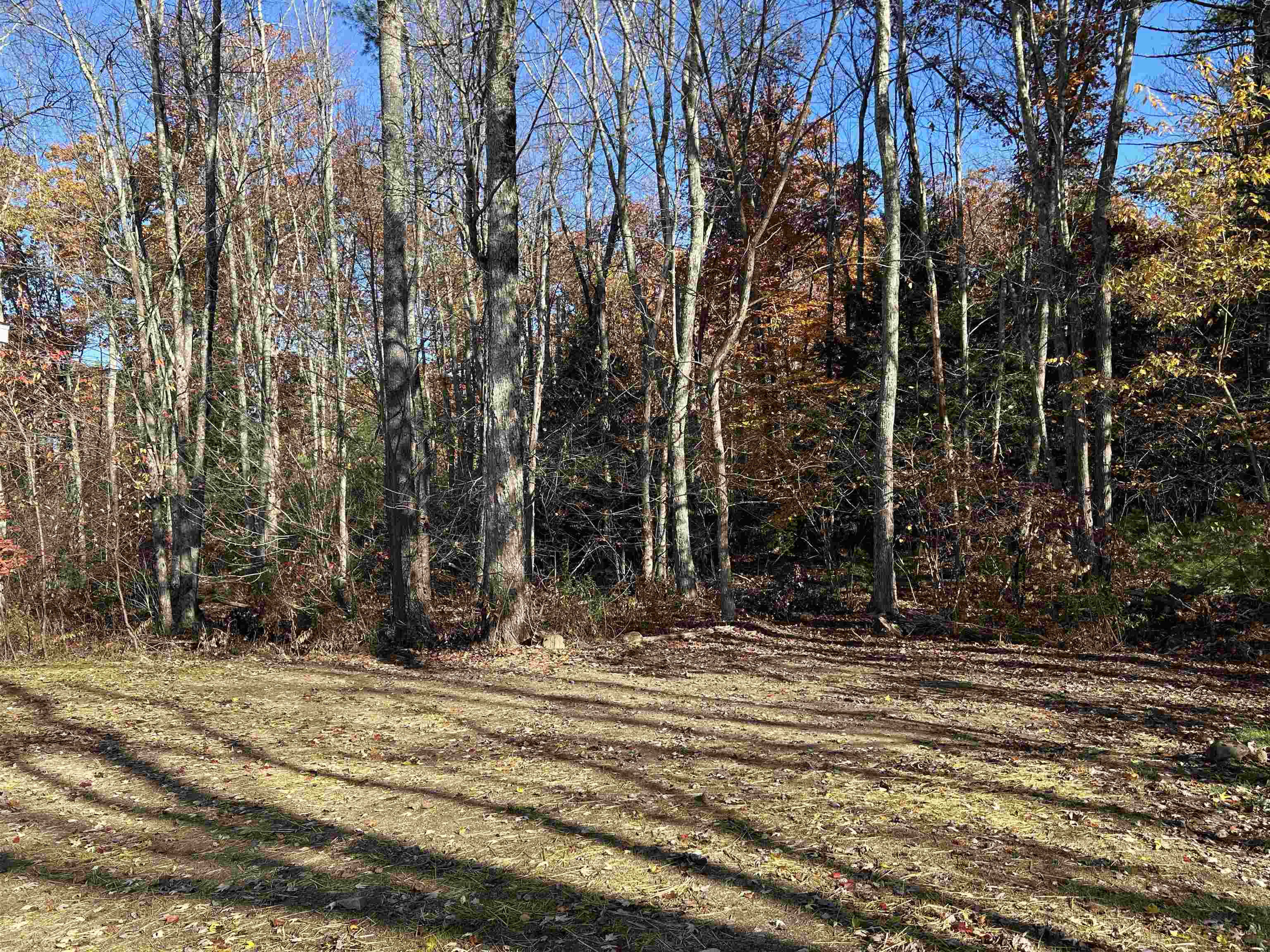 Huge Backyard to the woods