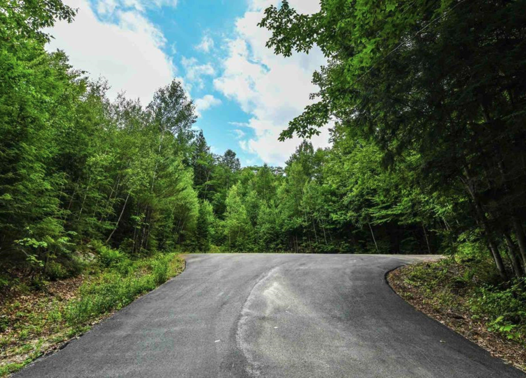 MLS #5067399 image #6