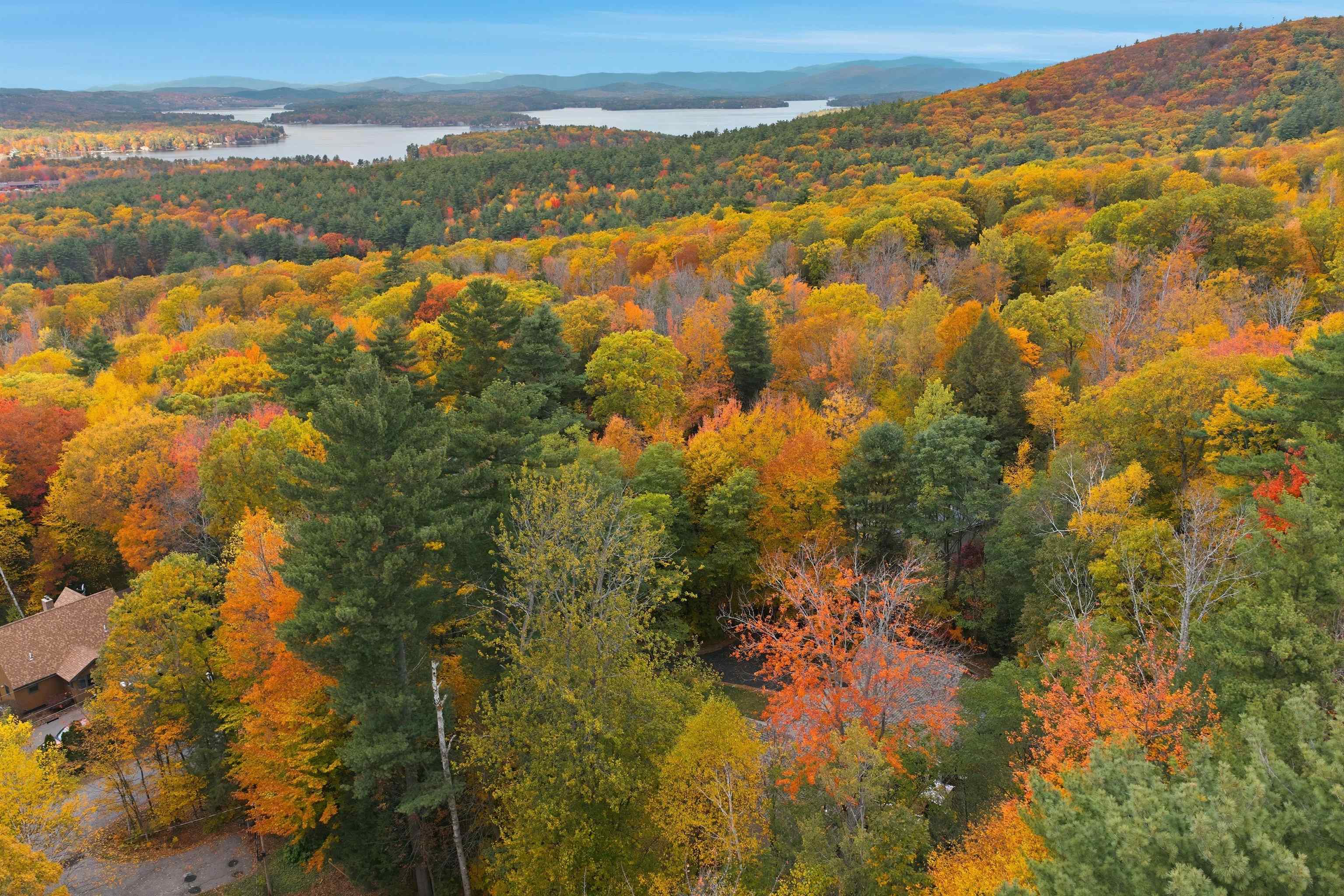 MLS #5067461 image #56