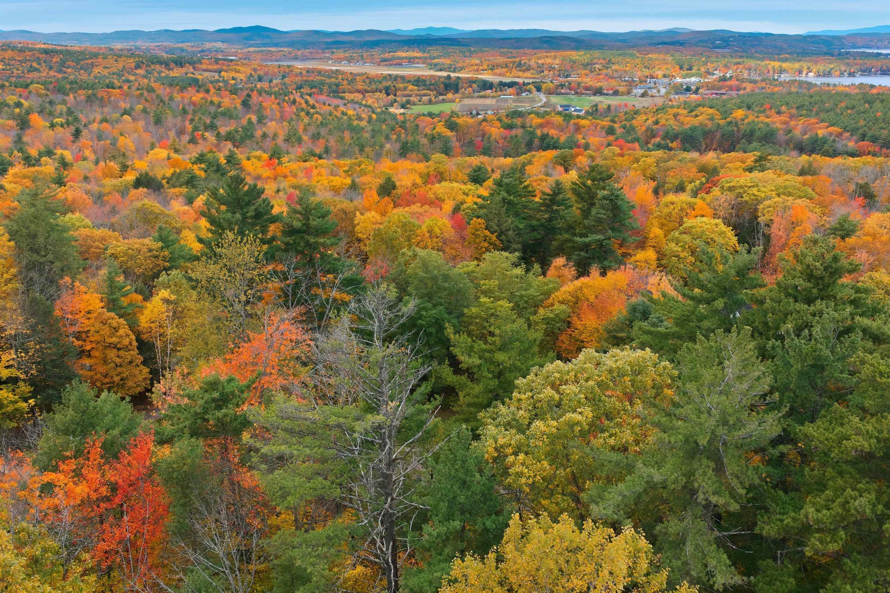 MLS #5067461 image #57