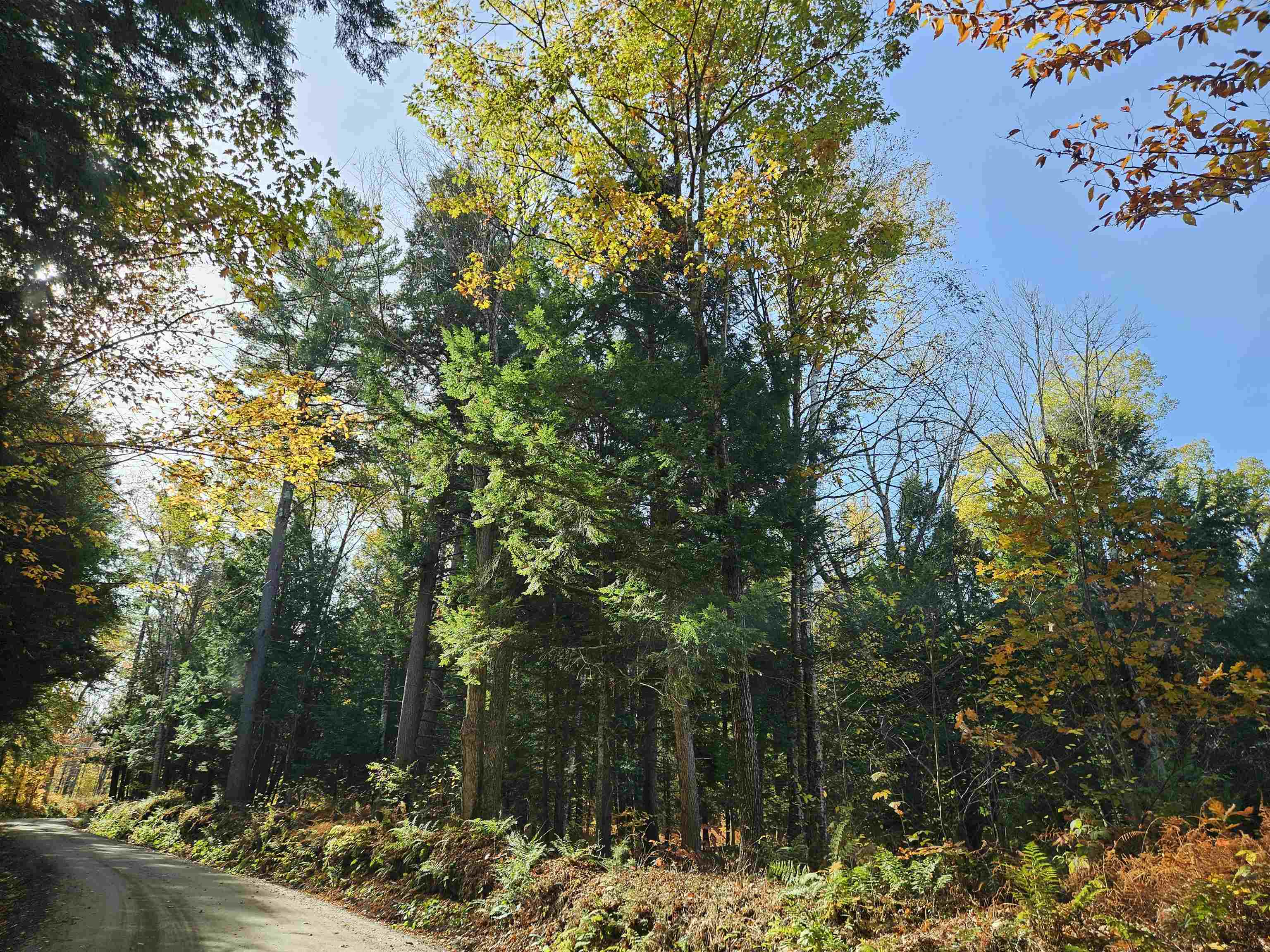 Lyme NH Land for sale $245,000 | 21.6 Acres  | Price Per Acre $0 