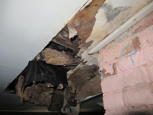 Second level bonus room 1 24301362