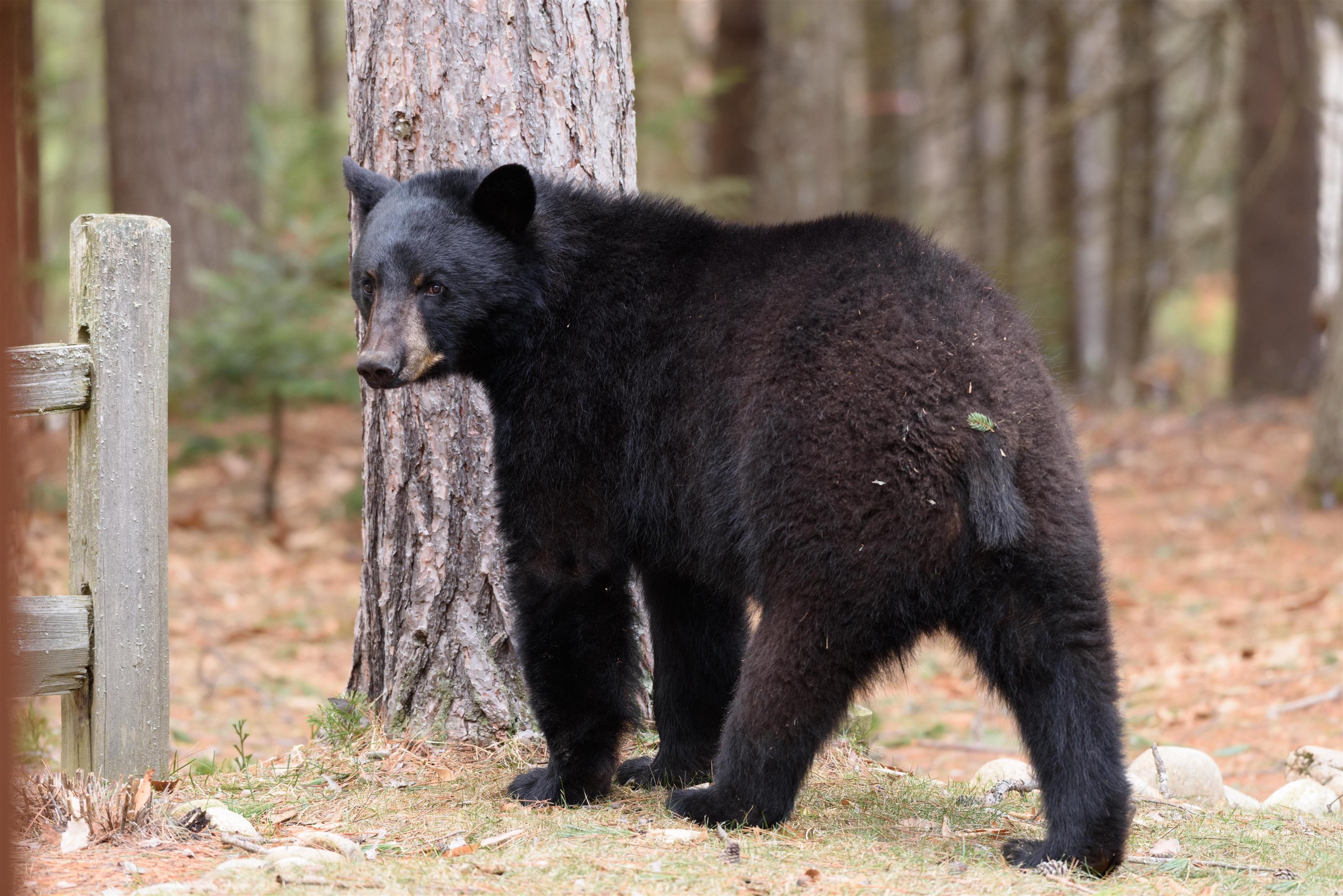 MLS #5067621 image #57