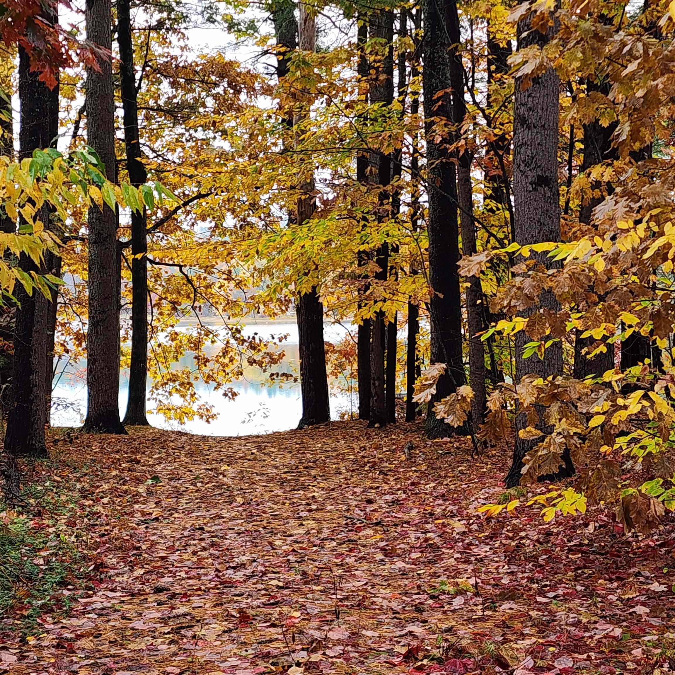 Tilton NH Land for sale $$10,000 | 0.57 Acres  | Price Per Acre $0 