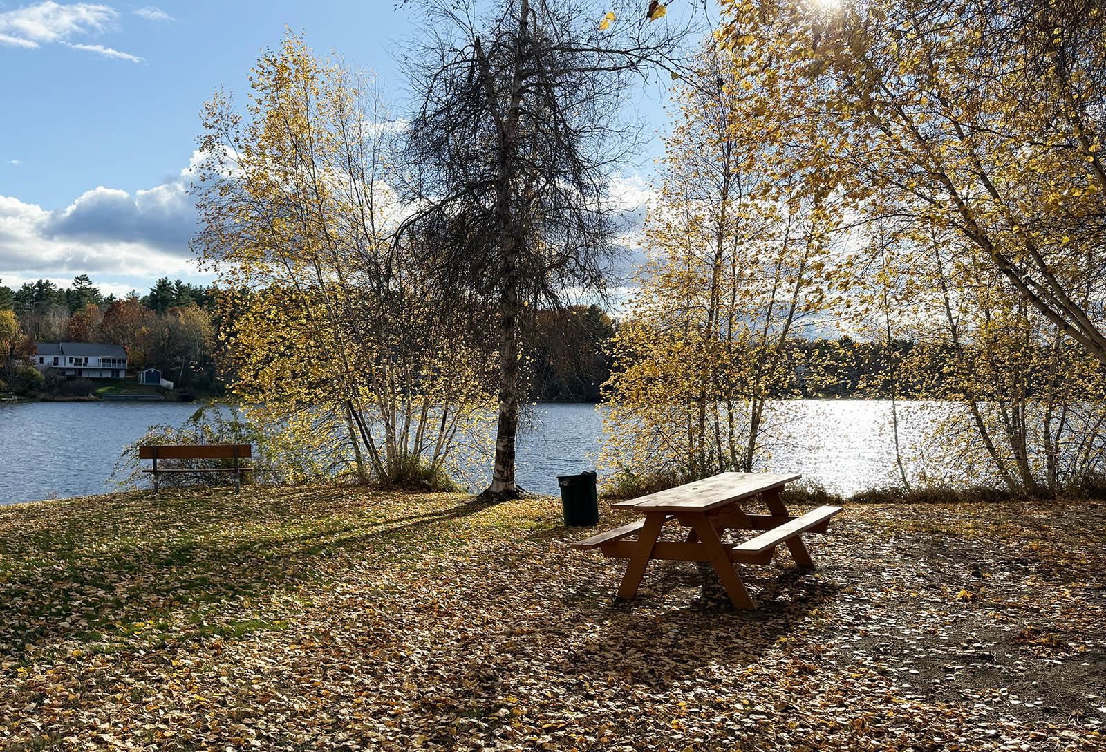 MLS #5067636 image #45