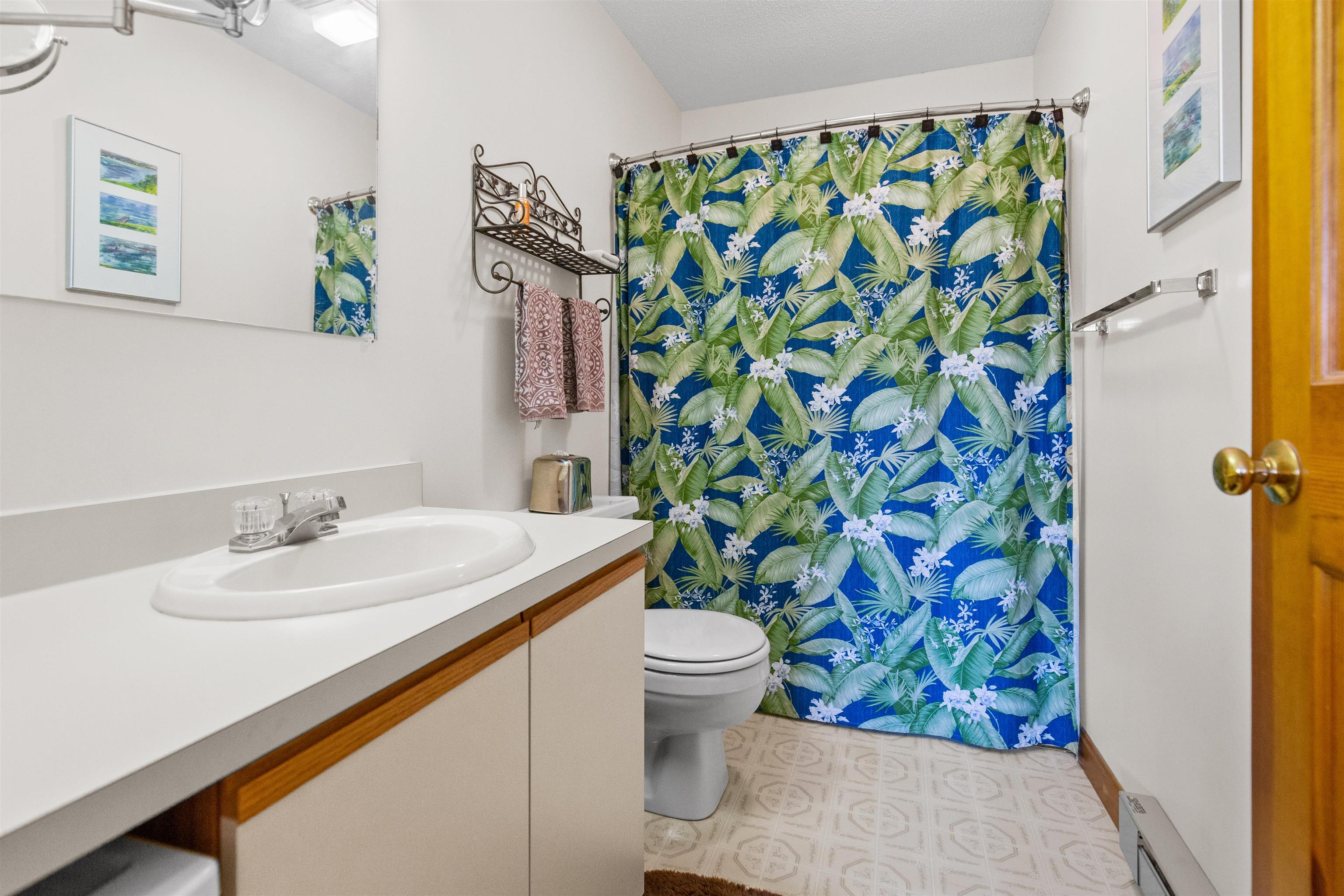 MLS #5066839 image #29