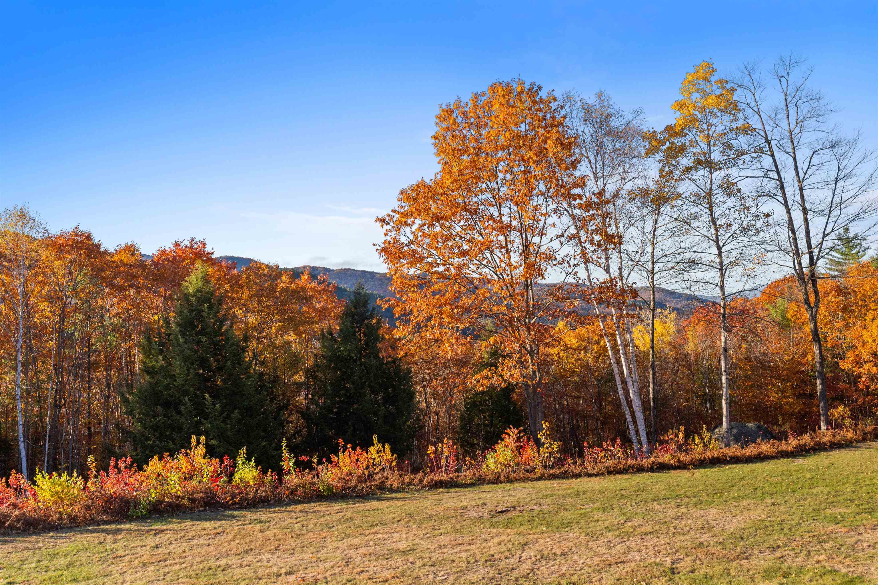 MLS #5066839 image #32