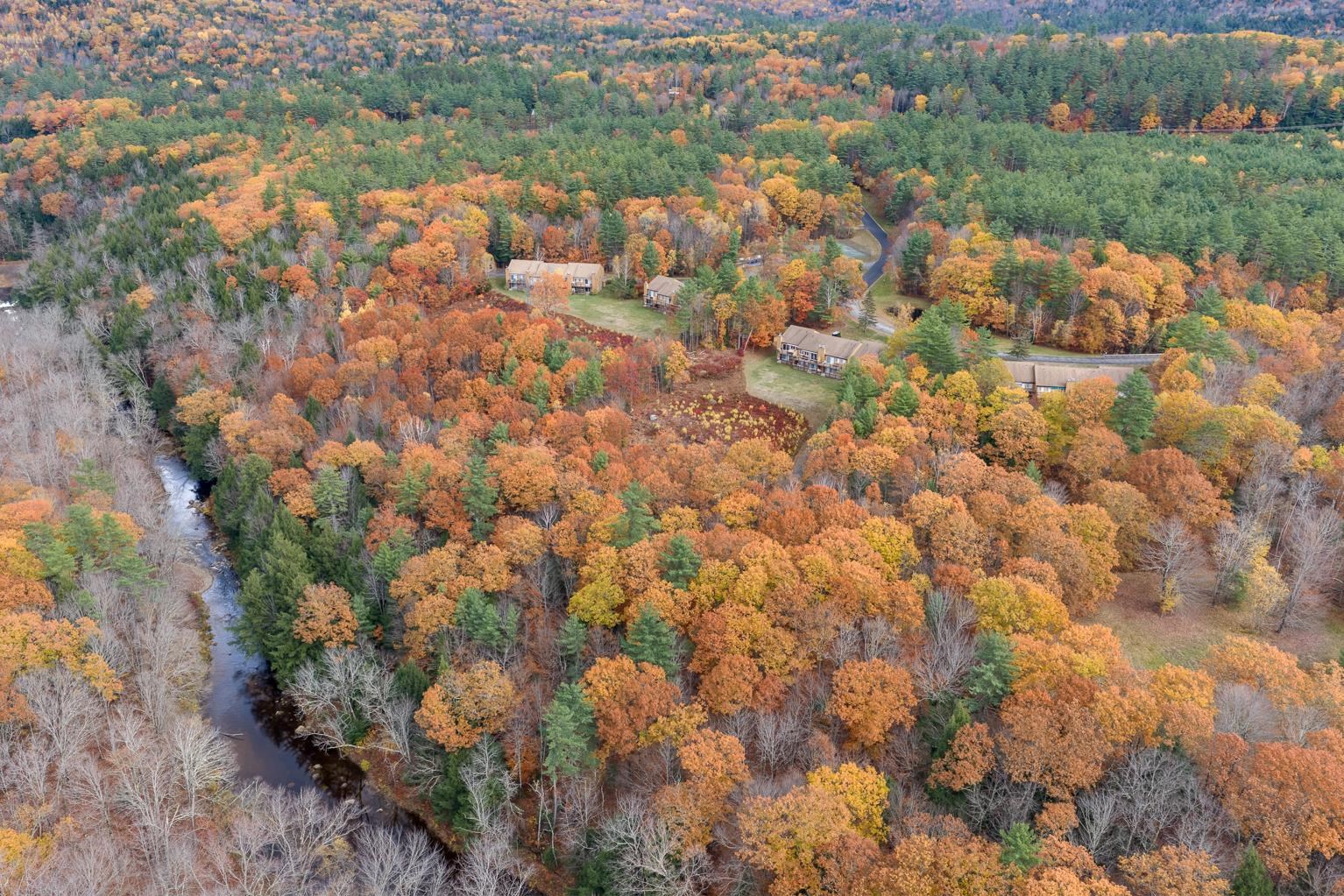 MLS #5066839 image #39