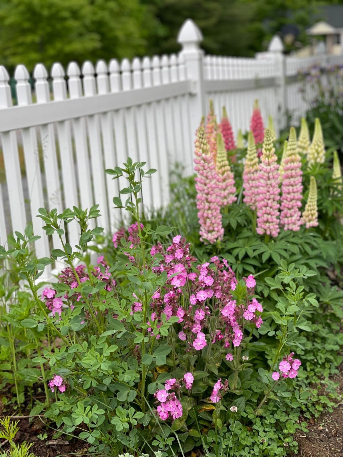 Homes for sale in Rochester, NH | 41 Kinsale Dr, Rochester, NH 03868 | MLS# 5067734