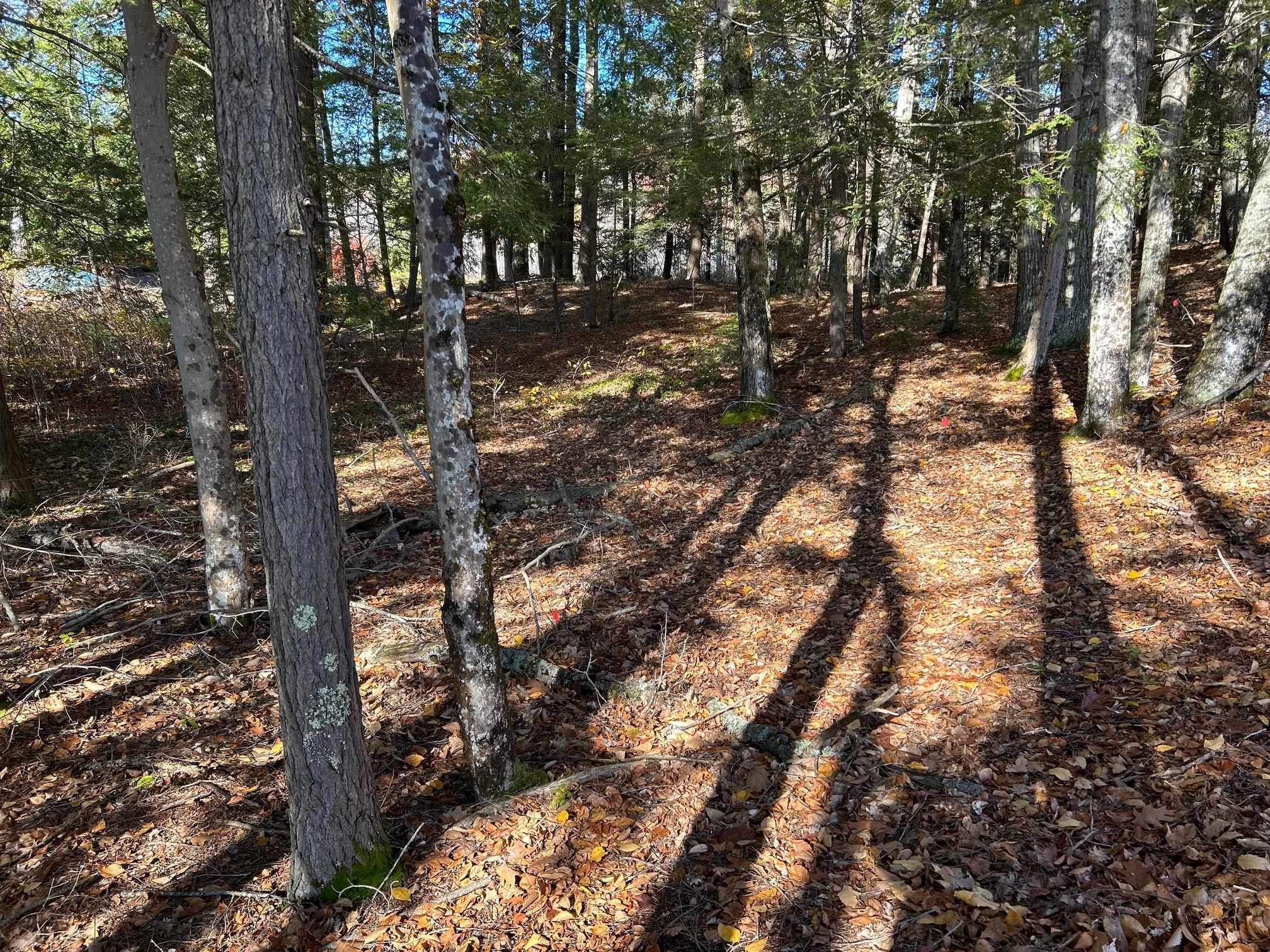 00 Rochester Rd, Northwood, NH 03261