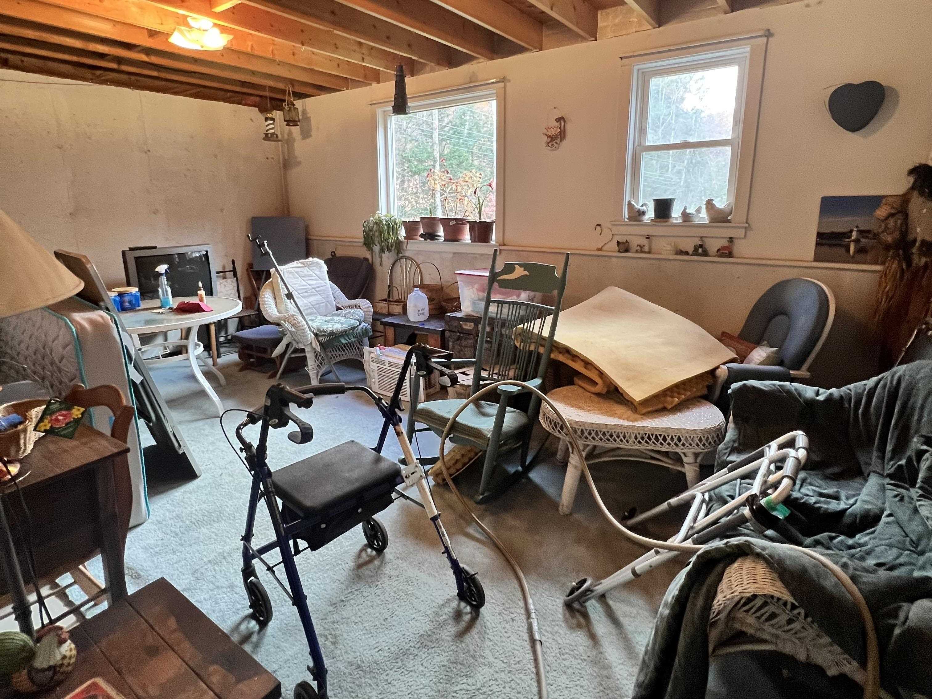 Basement Bonus Room 24356507