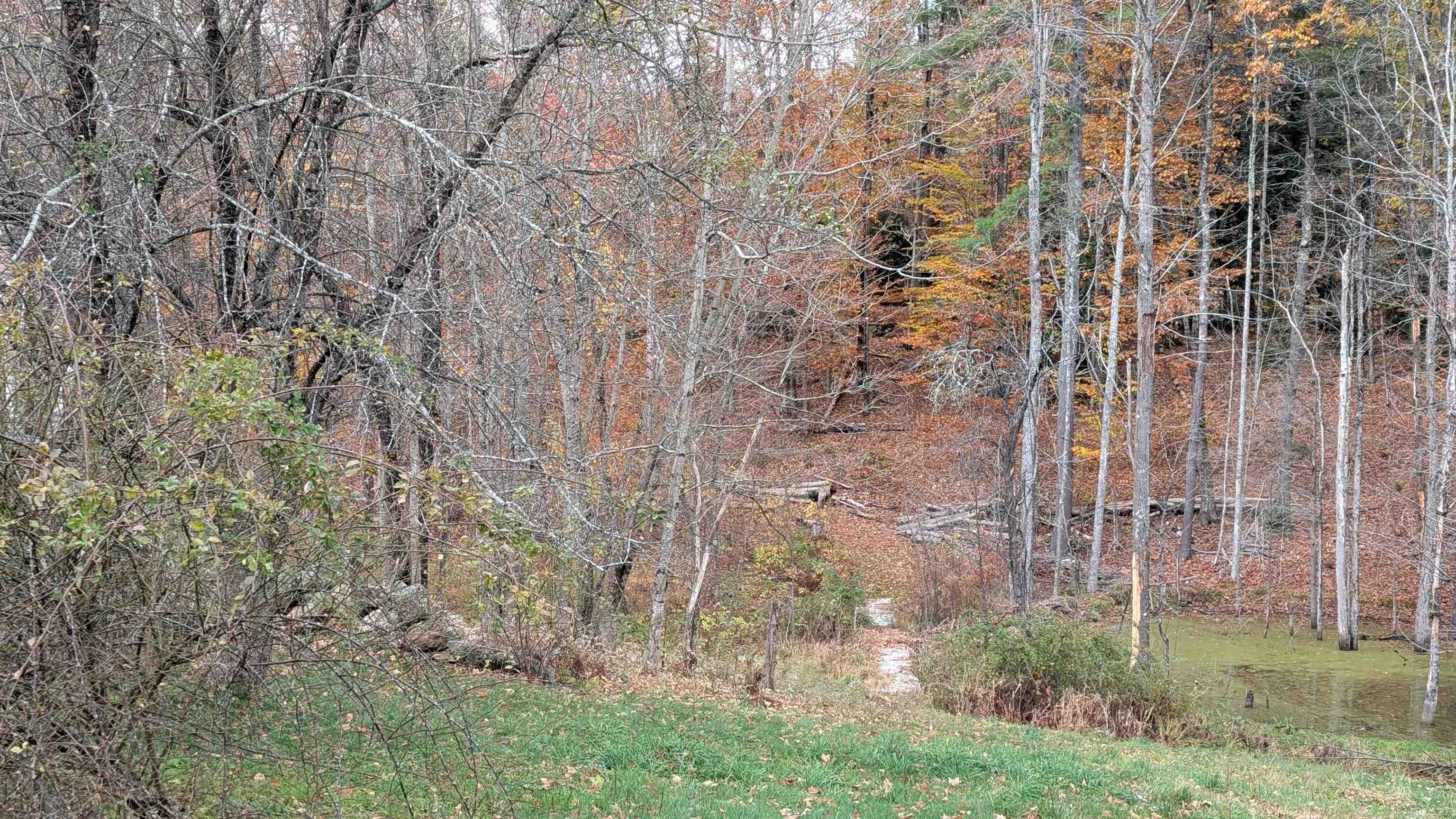 Homes for sale in Weare, NH | 281 Hodgdon Rd, Weare, NH 03281 | MLS# 5067839