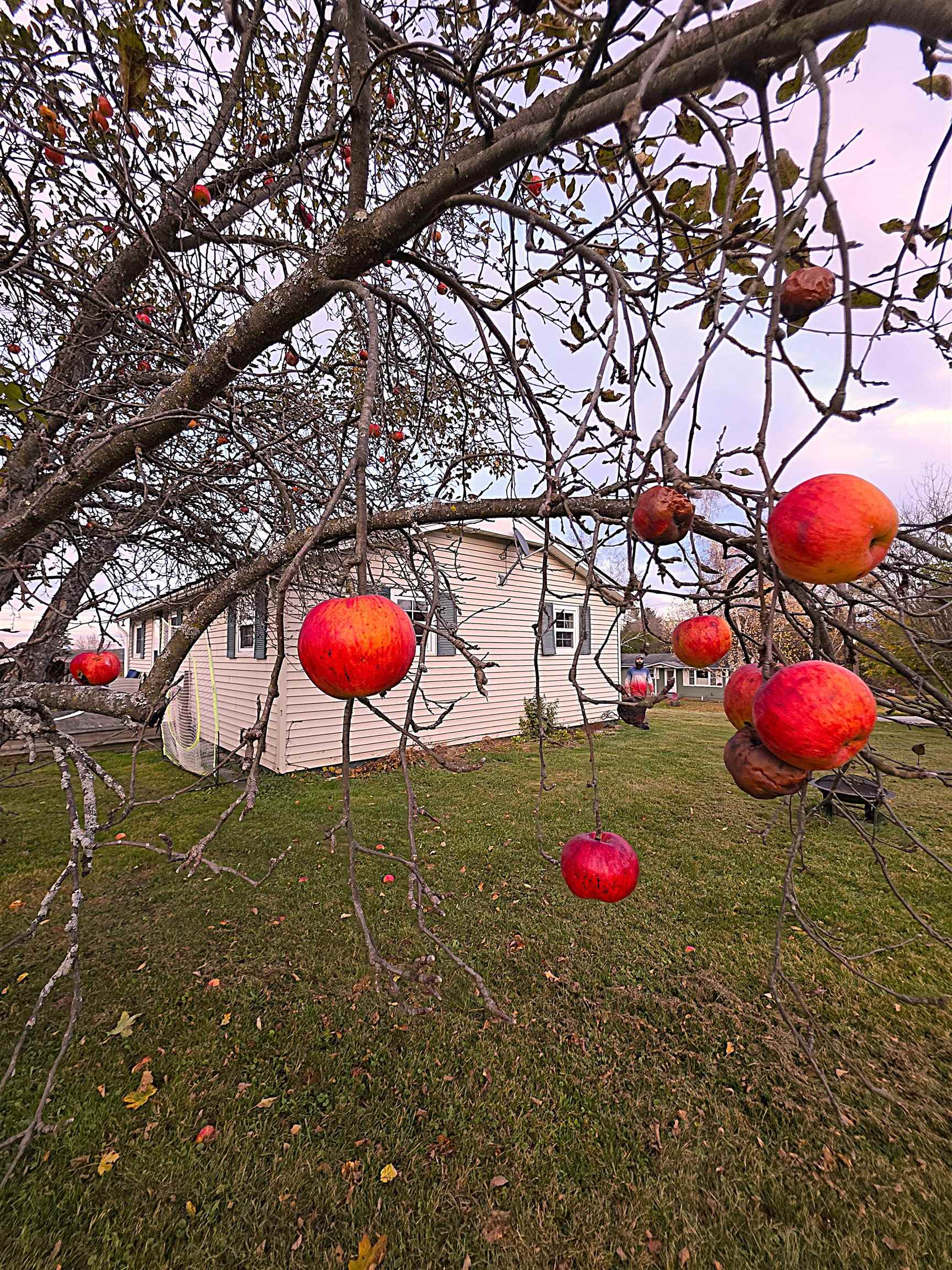 Homes for sale in Barre City, VT | 7 Westwood Pkwy, Barre City, VT 05641 | MLS# 5067846