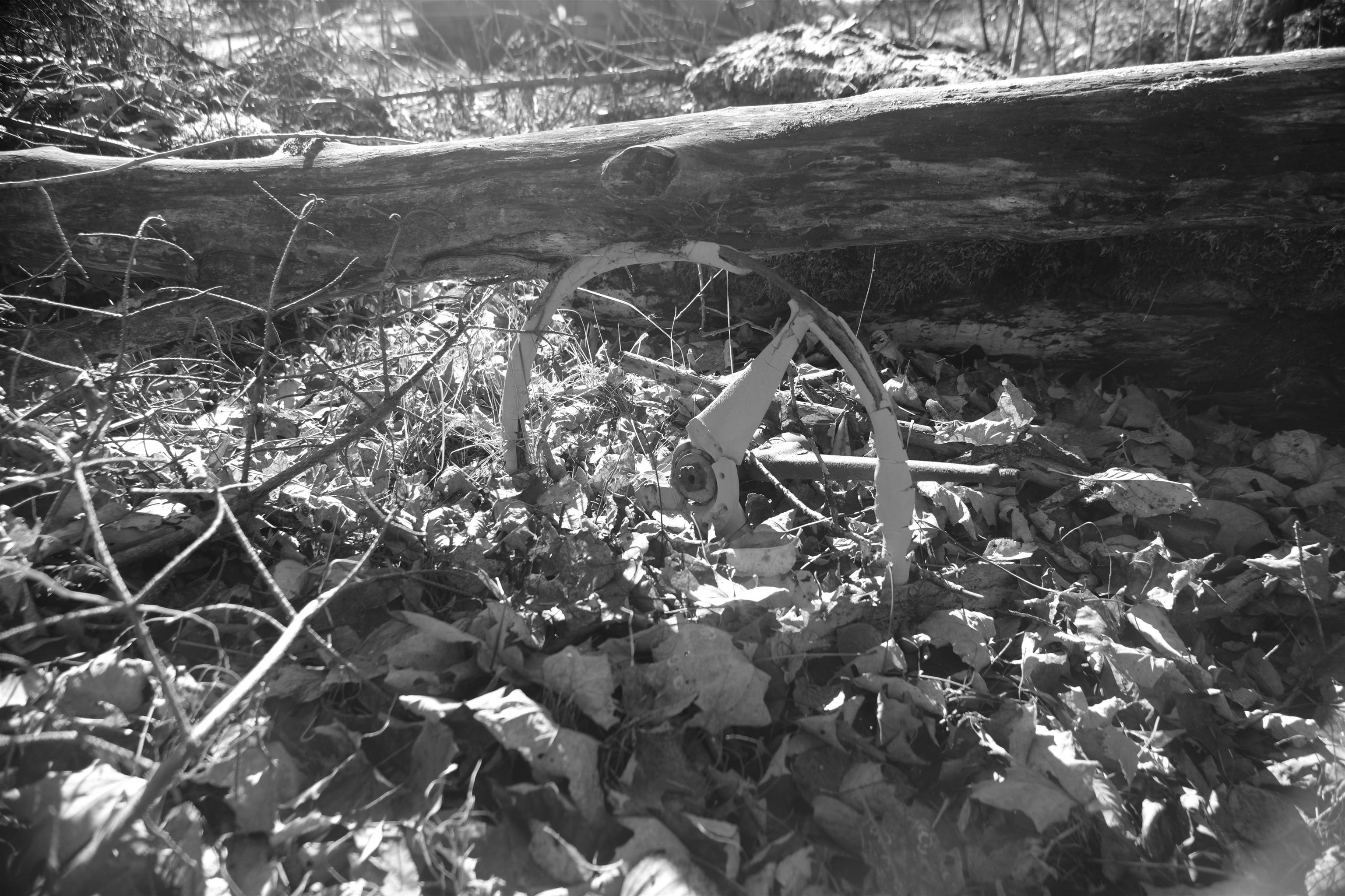 Homes for sale in Wheelock, VT | 592 Vertical Mile Rd, Wheelock, VT 05851 | MLS# 5067850