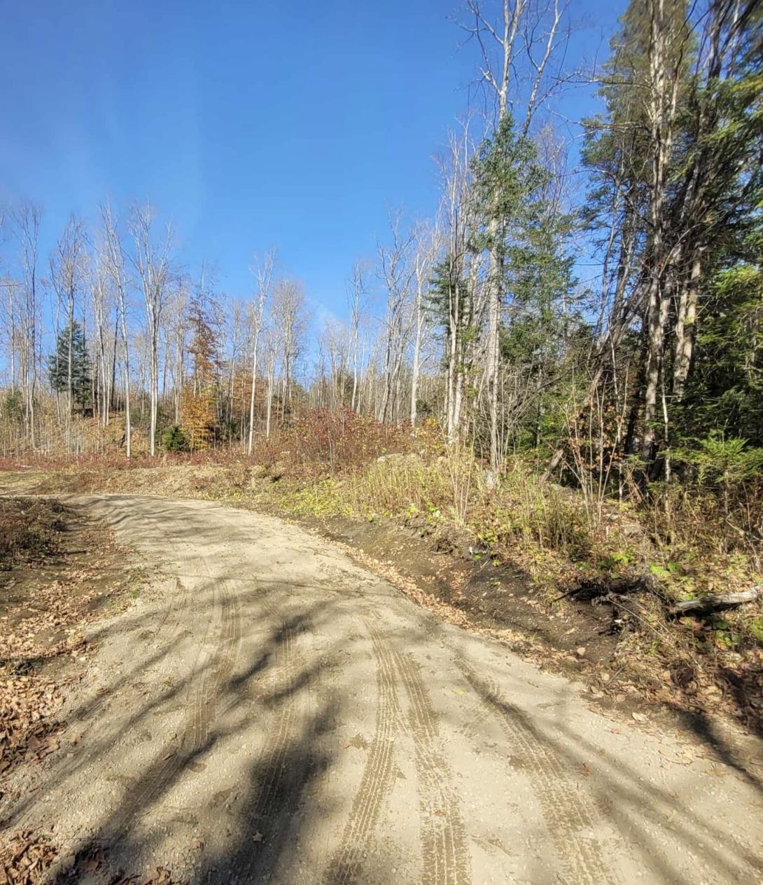 Homes for sale in Wheelock, VT | 0 Sutton Rd, Wheelock, VT 05851 | MLS# 5067861