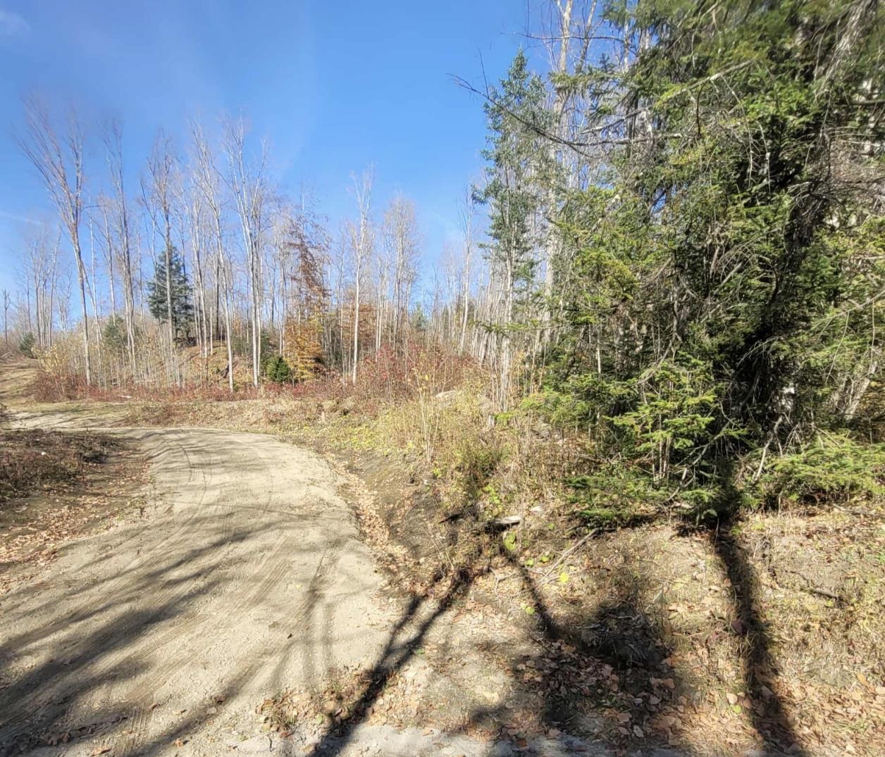 Homes for sale in Wheelock, VT | 0 Sutton Rd, Wheelock, VT 05851 | MLS# 5067861