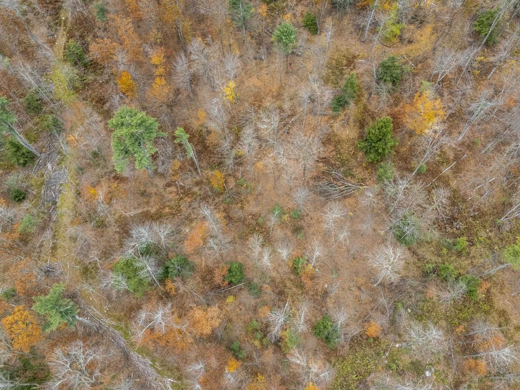 Homes for sale in New Ipswich, NH | 00 Greenville Rd, New Ipswich, NH 03071 | MLS# 5067912