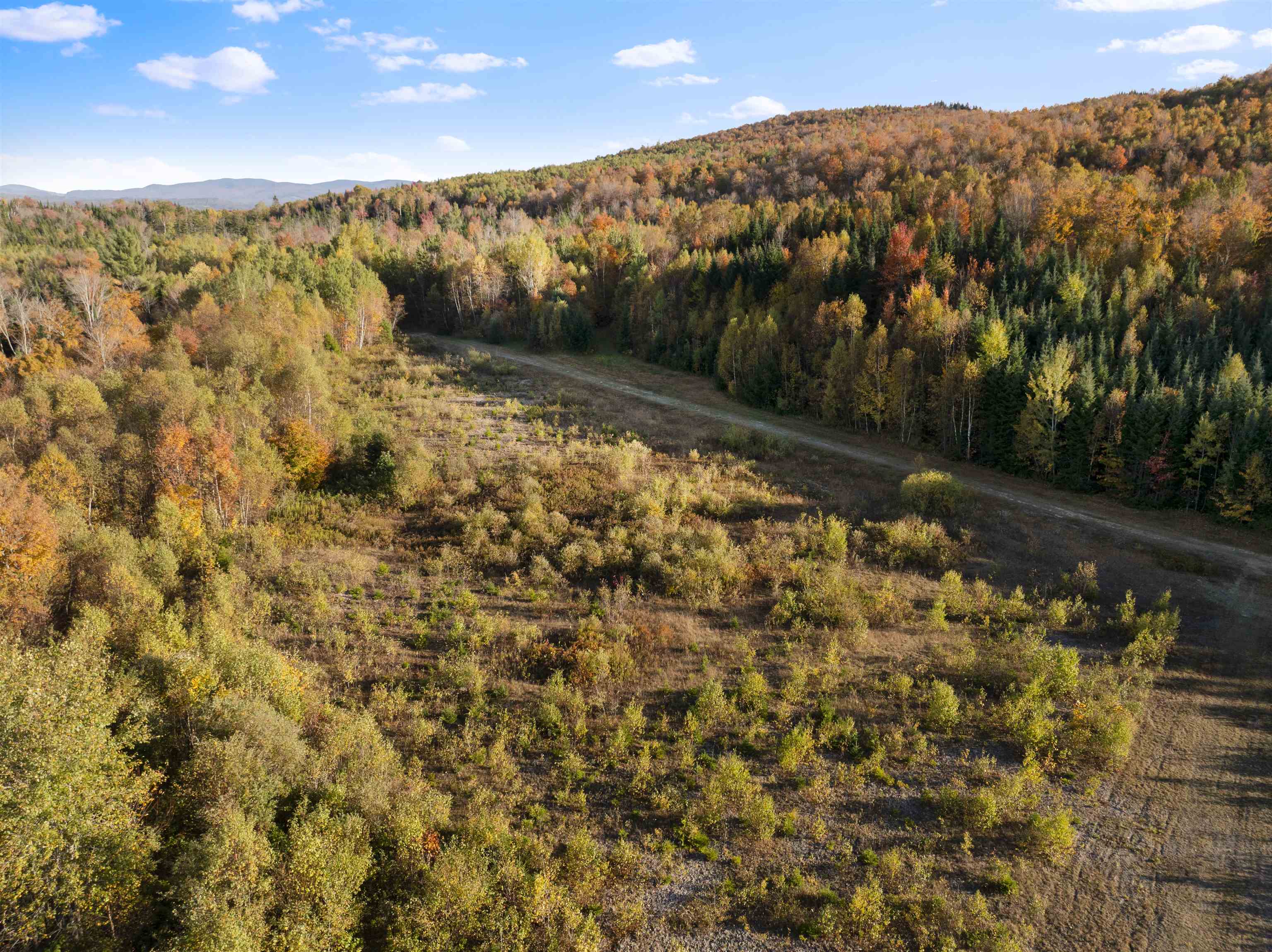 MLS #5067914 image #32