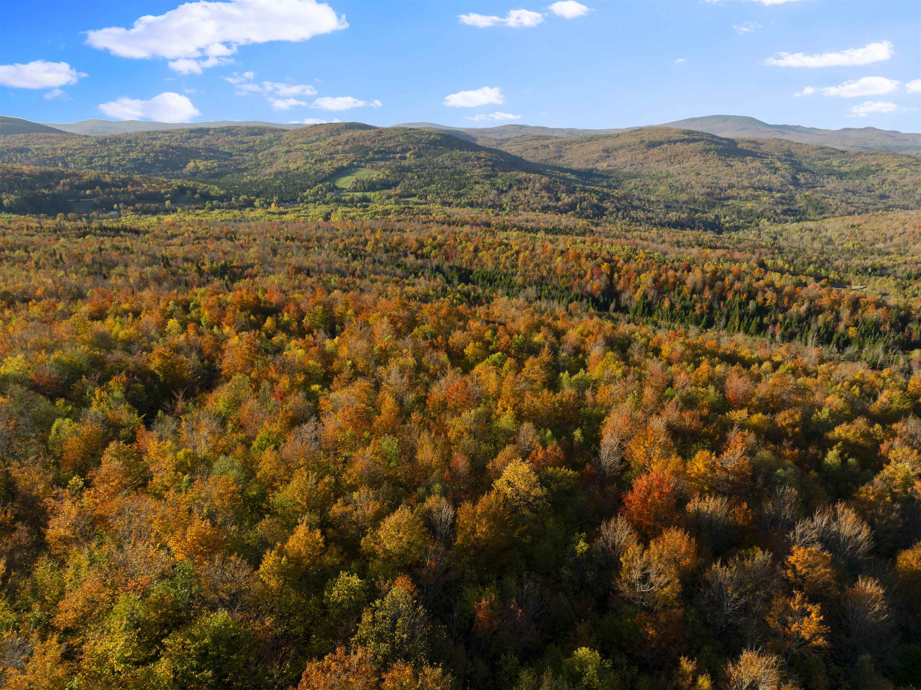 MLS #5067914 image #35