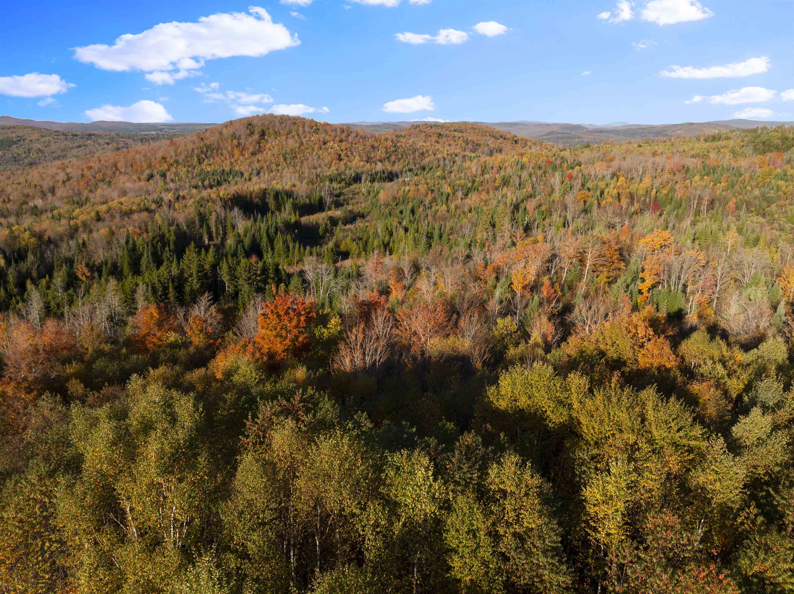 MLS #5067914 image #36