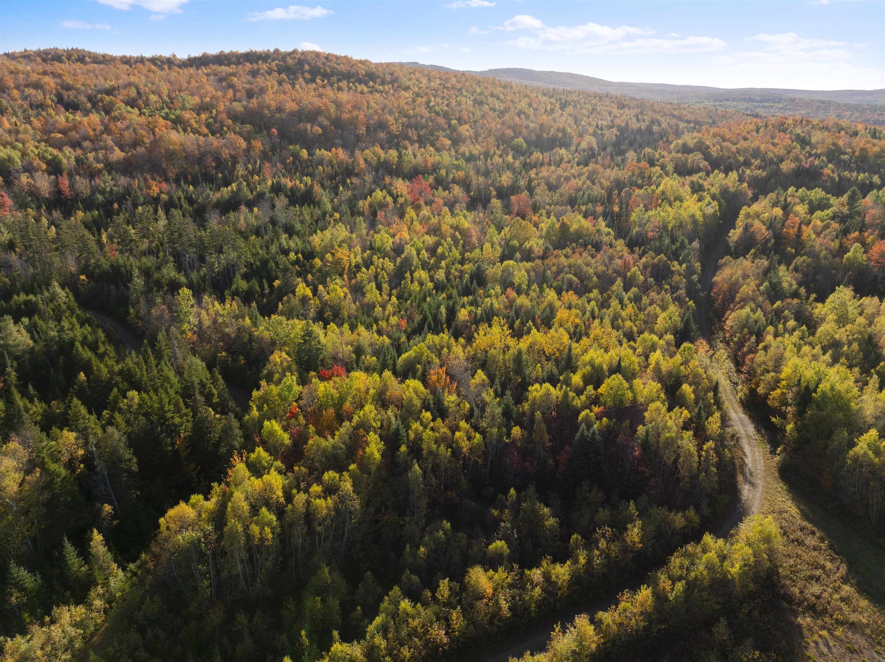 MLS #5067914 image #39