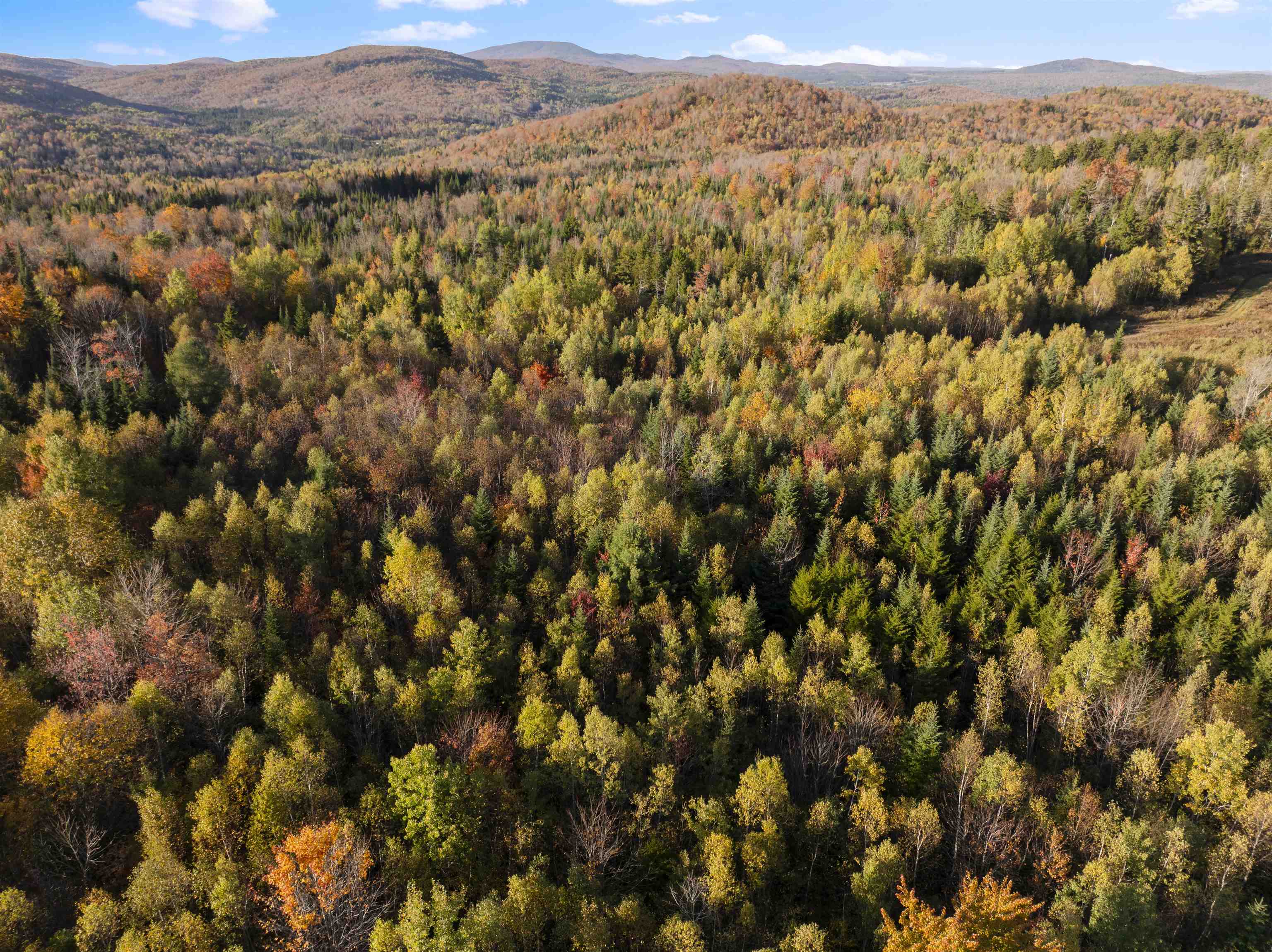 MLS #5067914 image #42