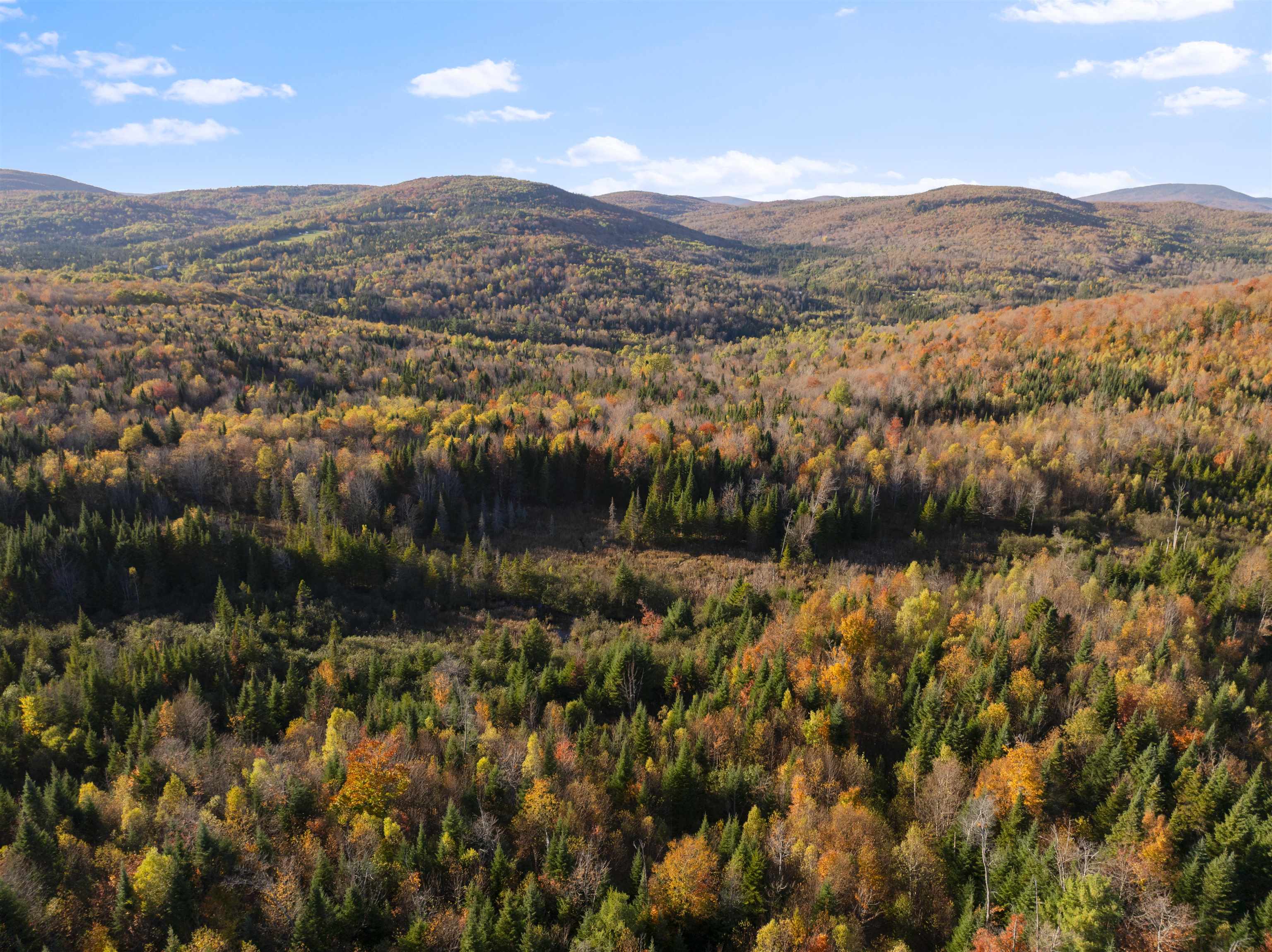 MLS #5067914 image #43