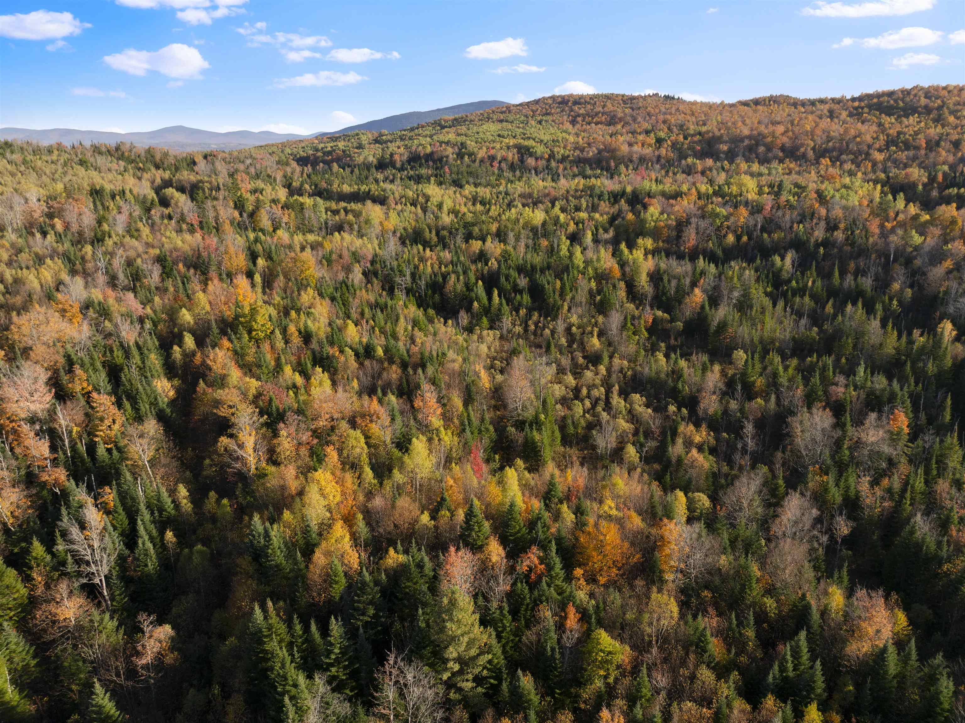 MLS #5067914 image #44