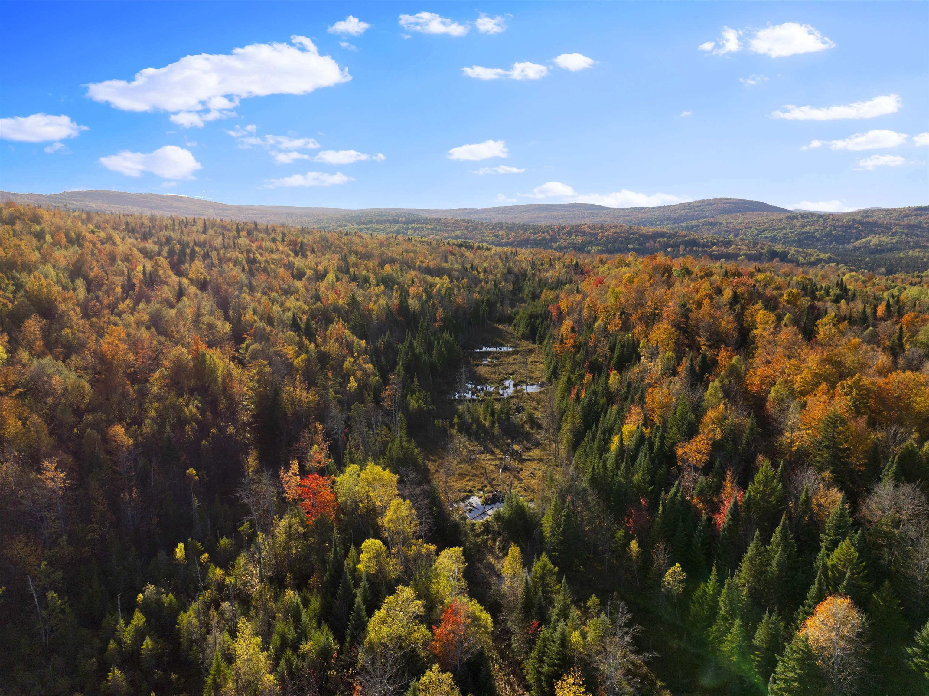 MLS #5067914 image #46