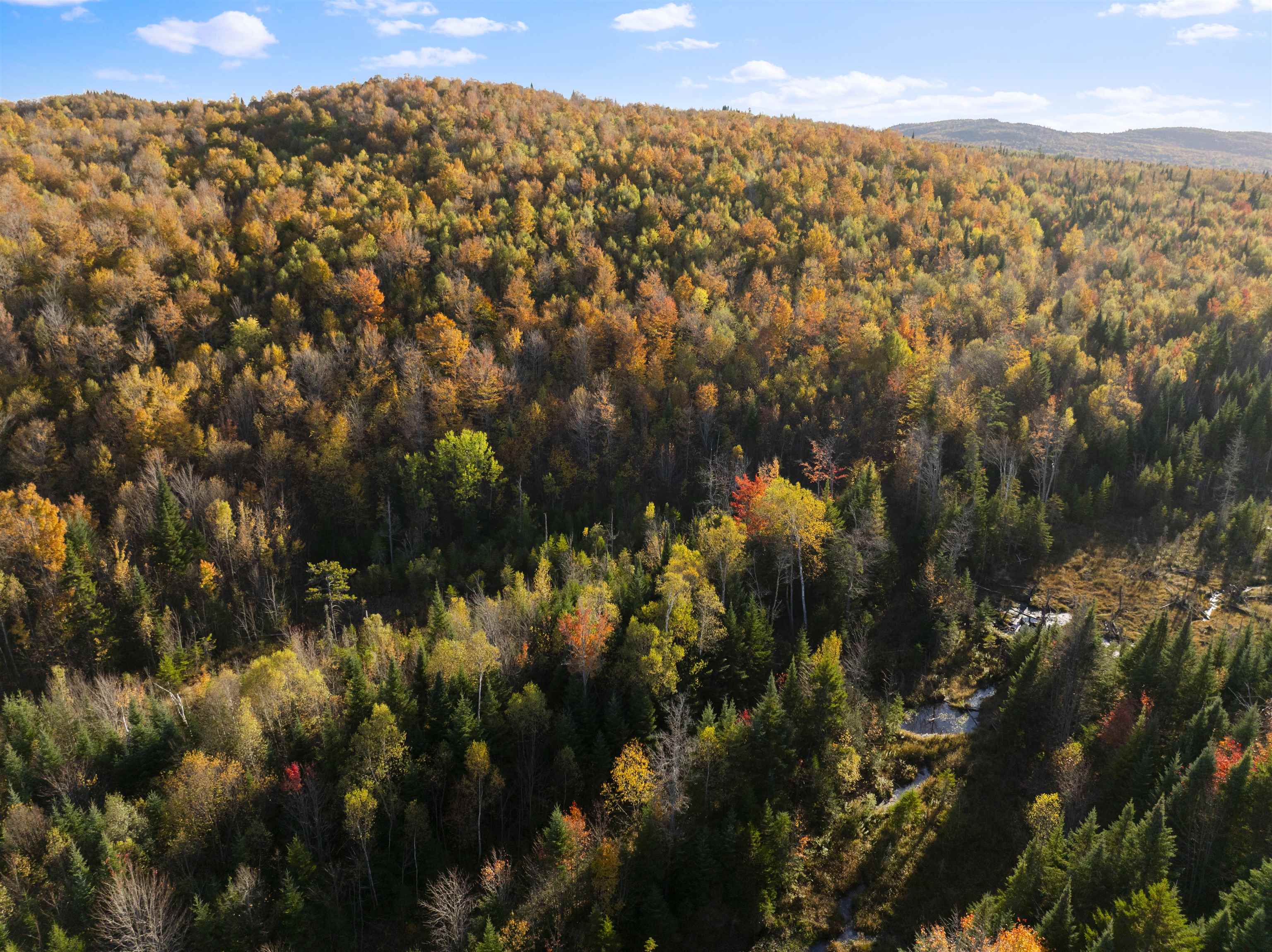 MLS #5067914 image #47